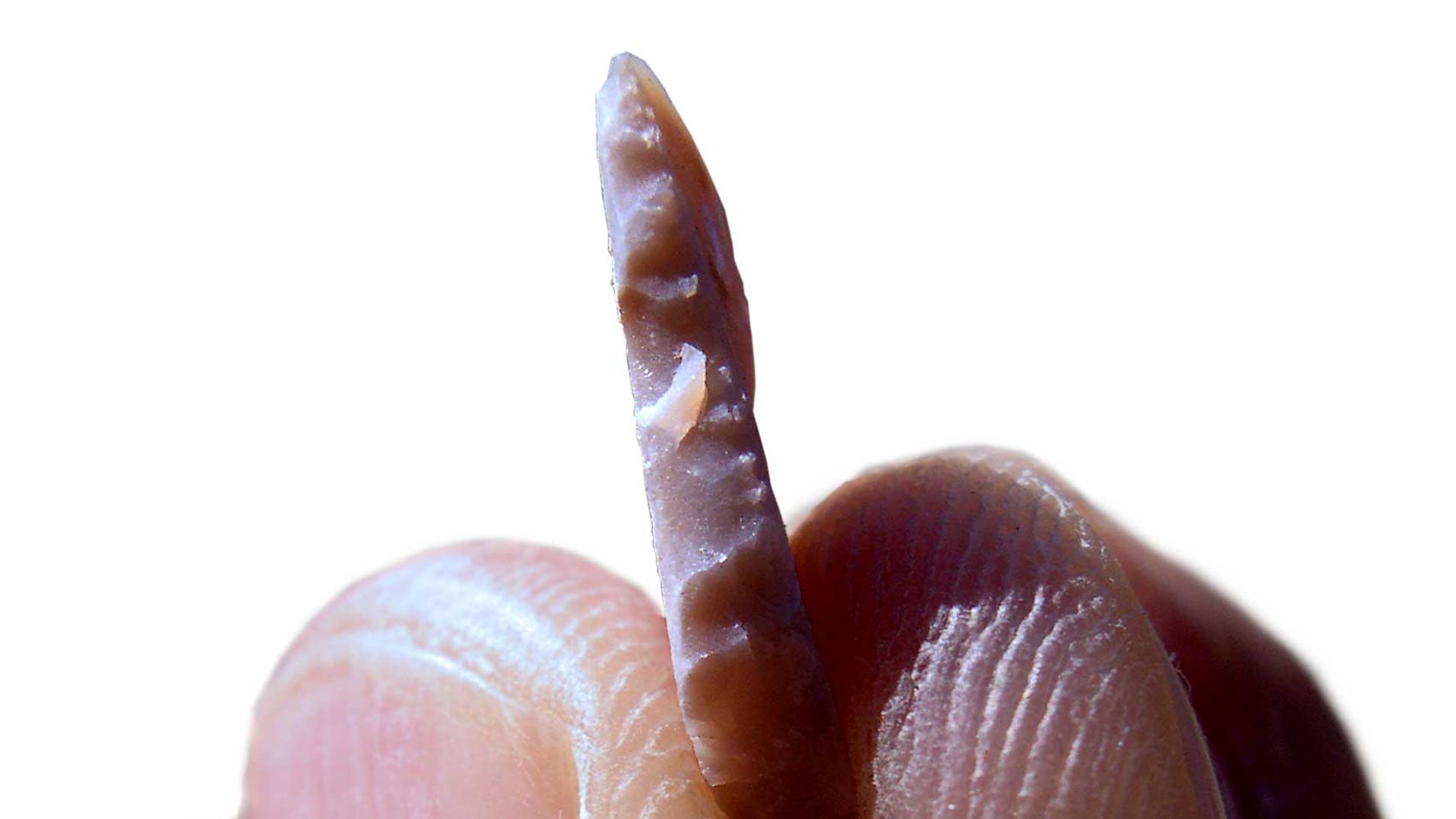 8. Outils composites en microlithes