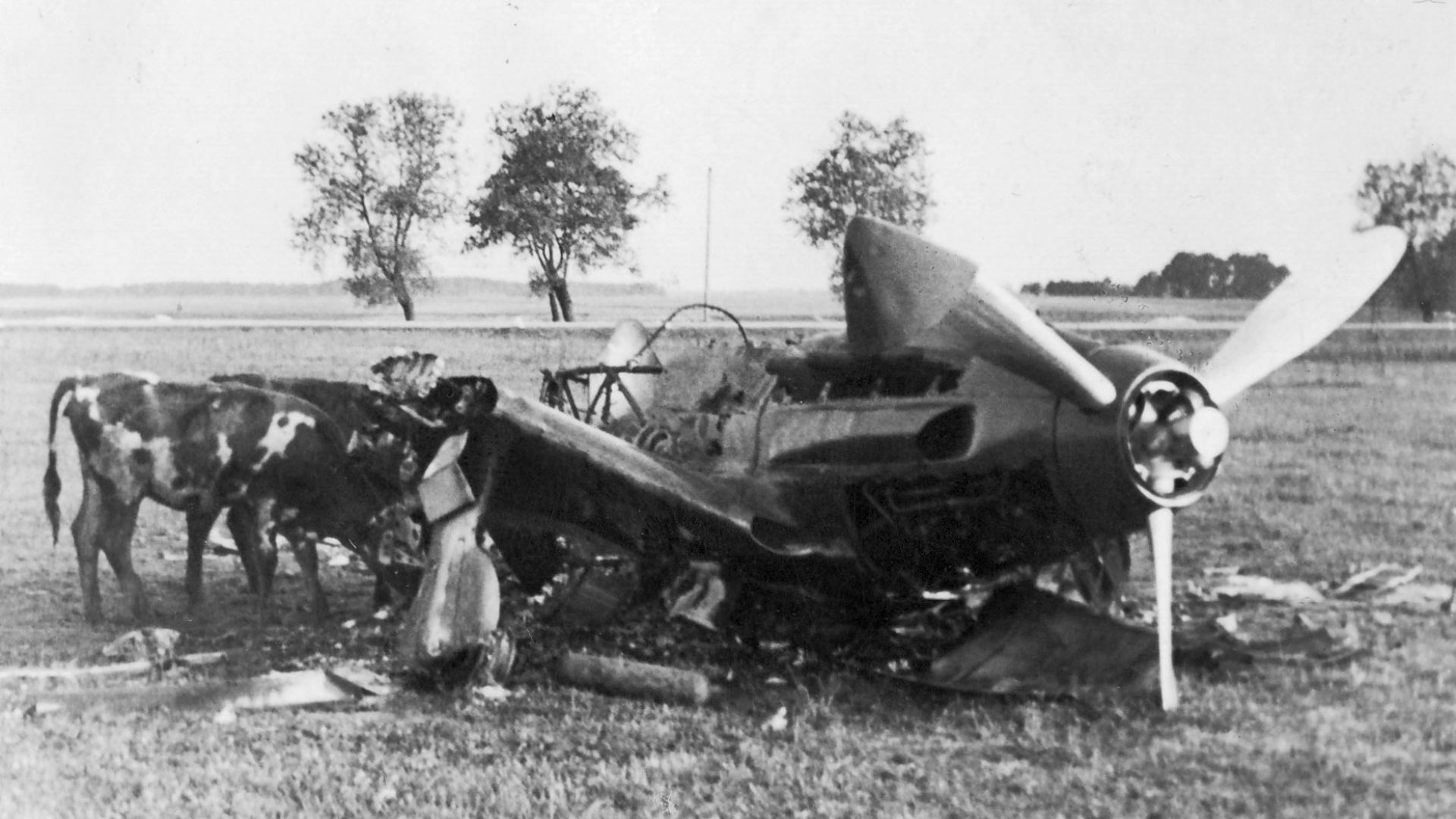 8. L'opération Barbarossa, une campagne éclair