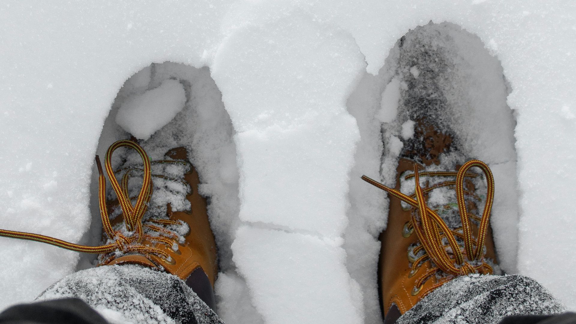 14. Le crissement des pas sur la neige