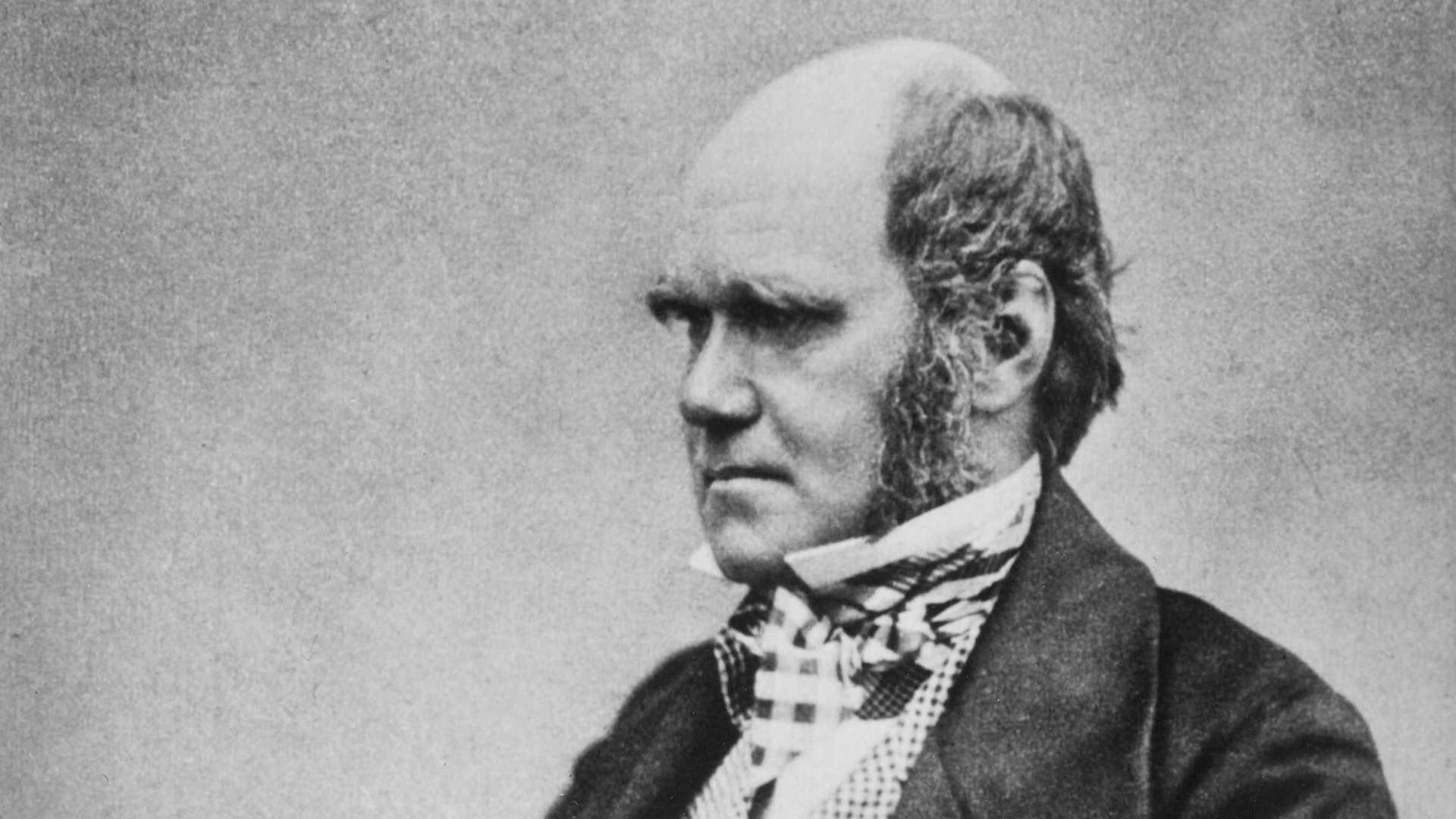 17. Charles Darwin s'est rasé de près pendant la majeure partie de sa vie