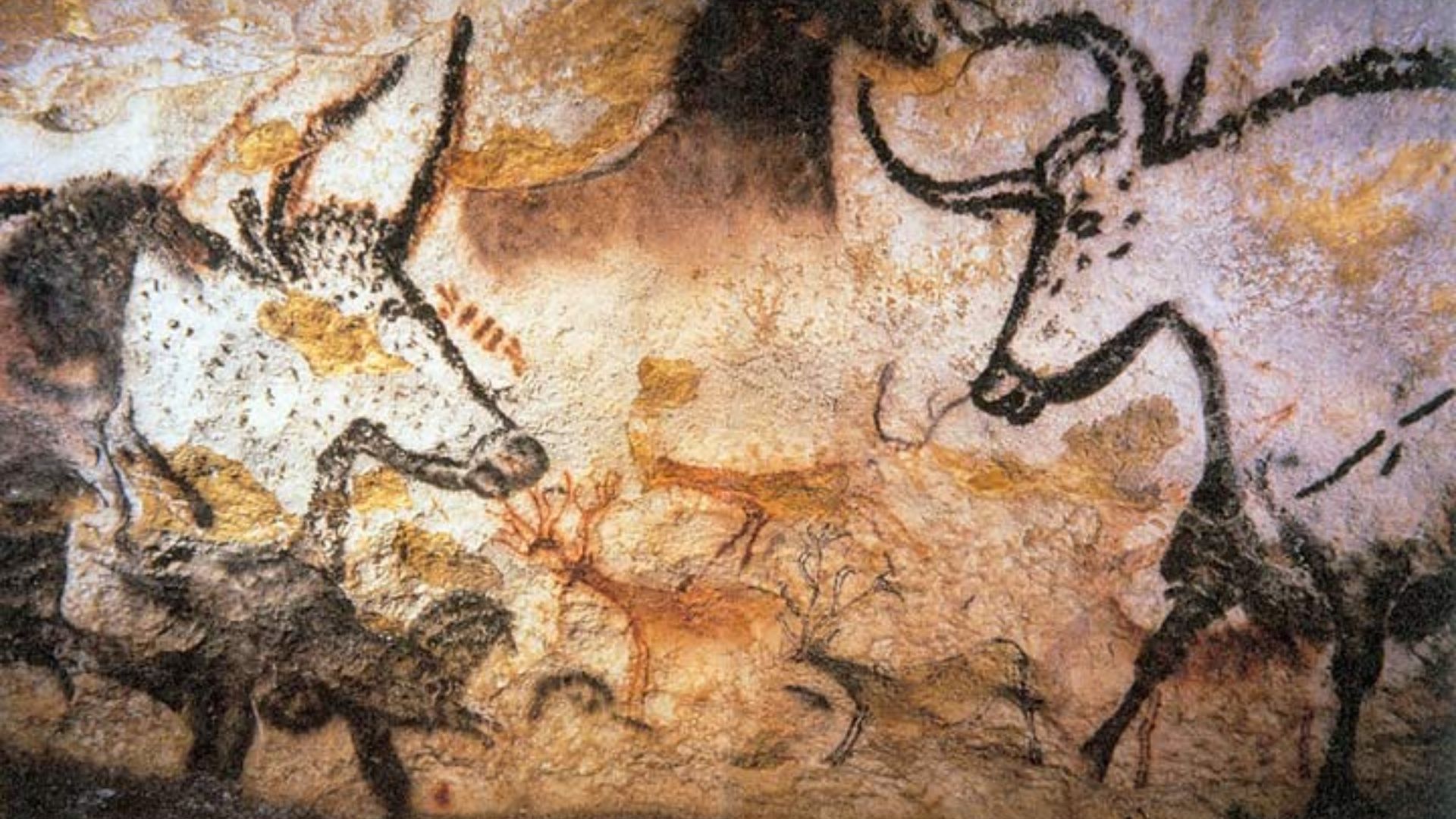 4. Lascaux après qu'un chien se soit enfui
