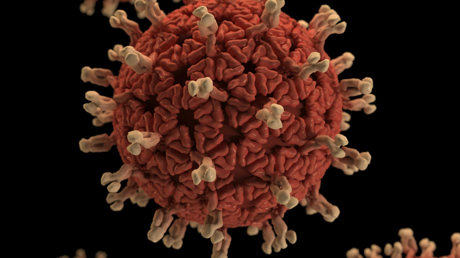 20. Réovirus