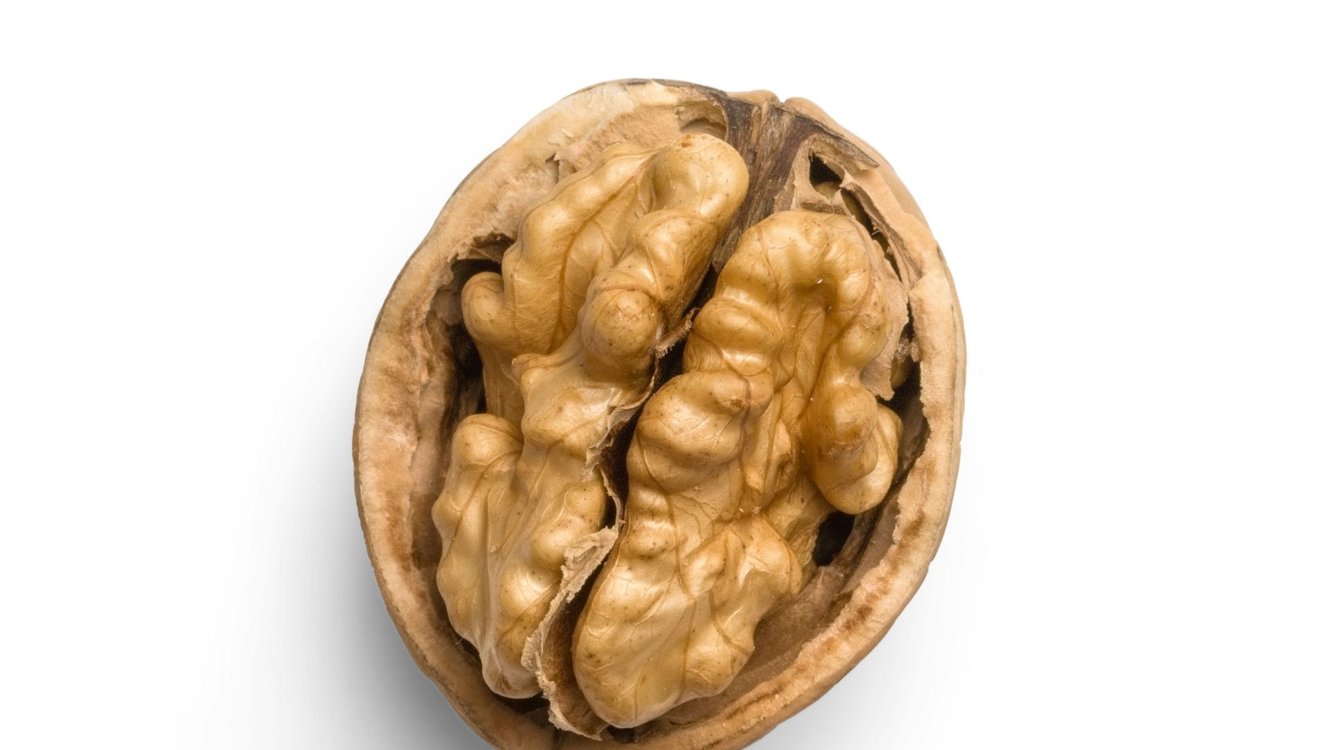 1. Noix