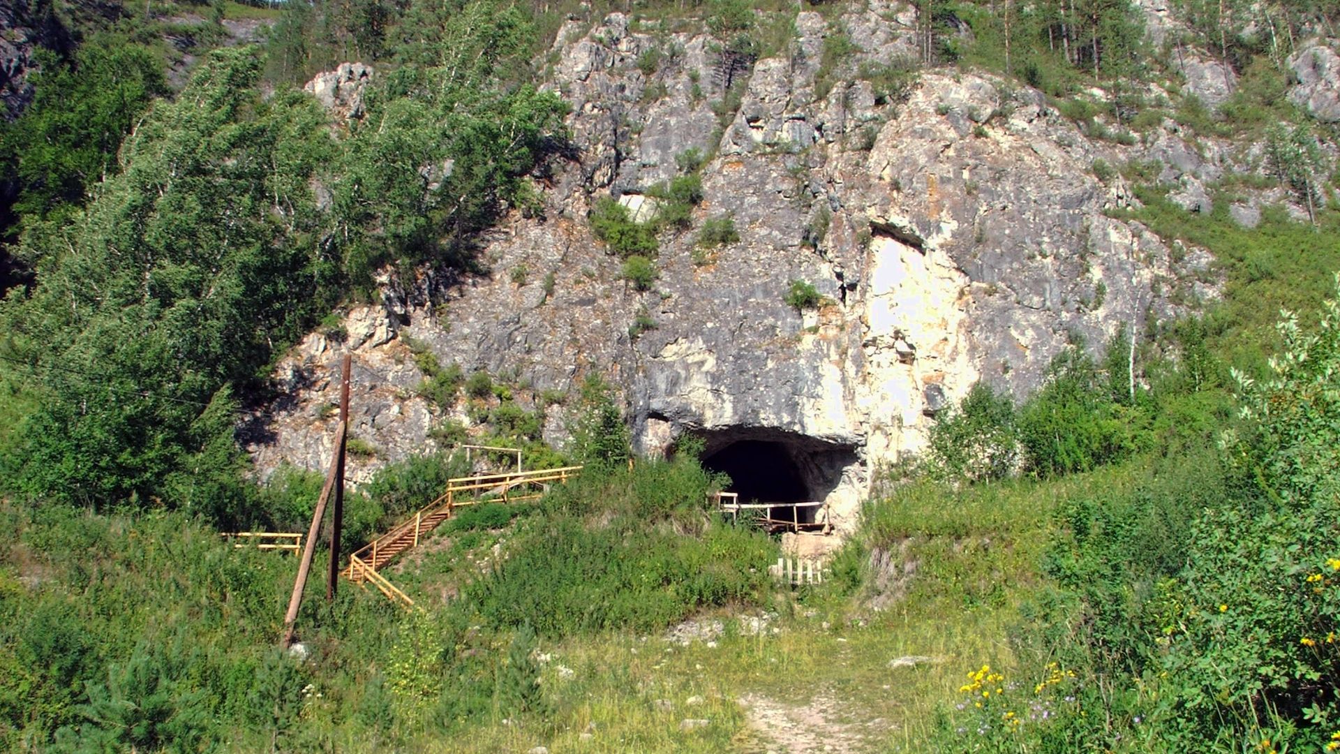 15. Aiguilles en os provenant de la grotte de Denisova