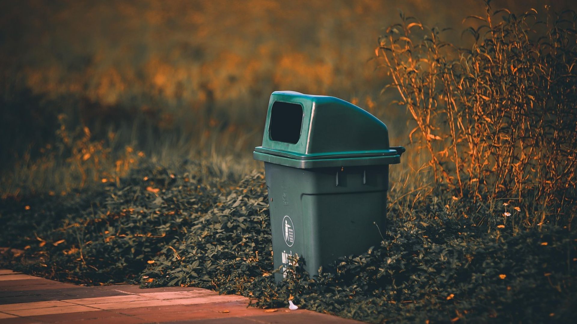 17. Poubelles