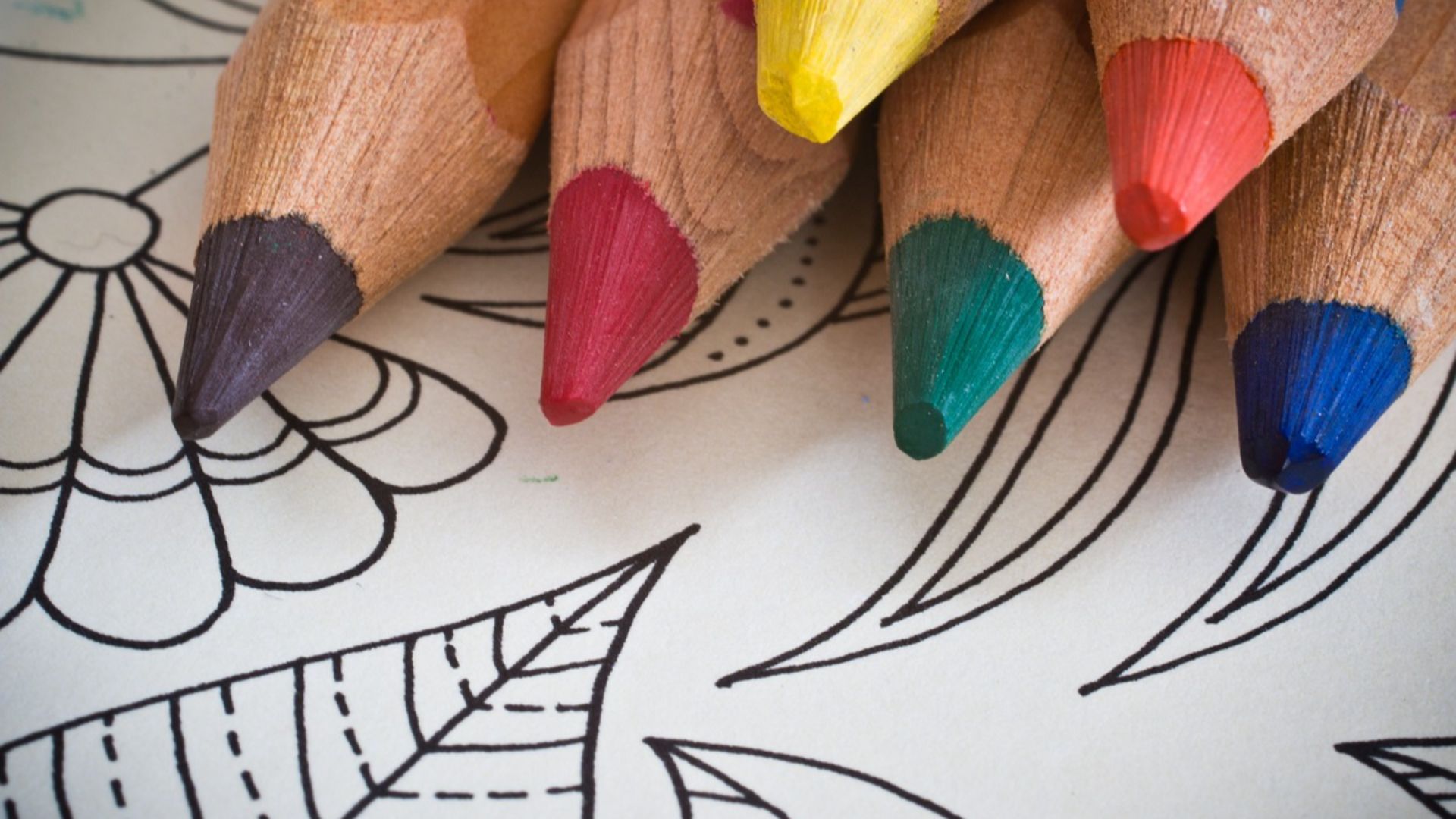 6. Fais un peu de coloriage