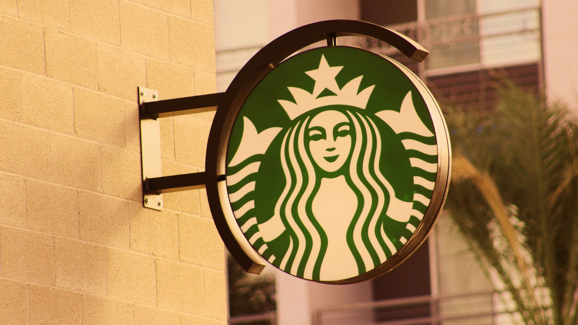 19. Les lattes de Starbucks