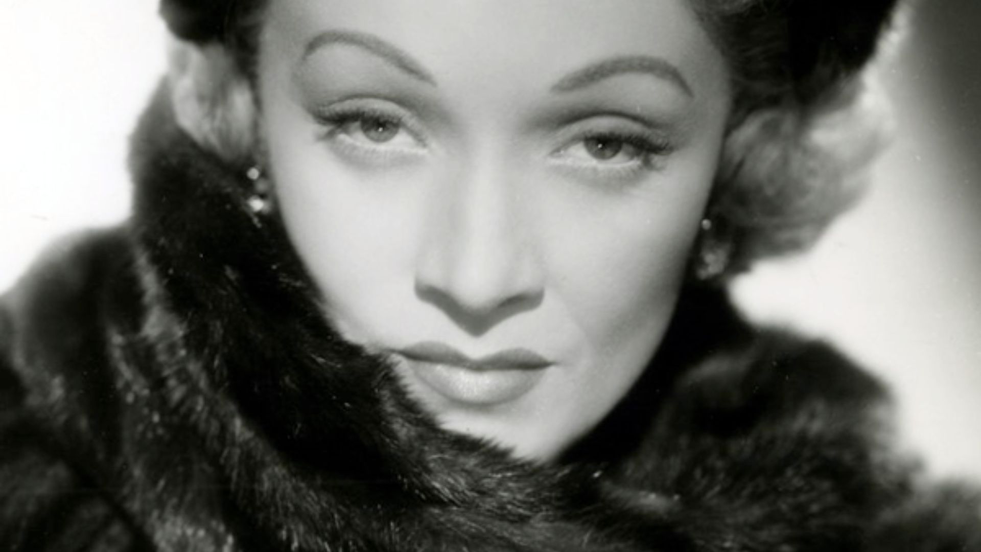 11. Les molaires de Marlene Dietrich
