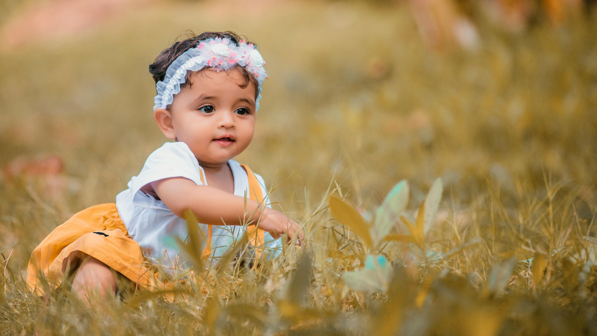 1. Lila