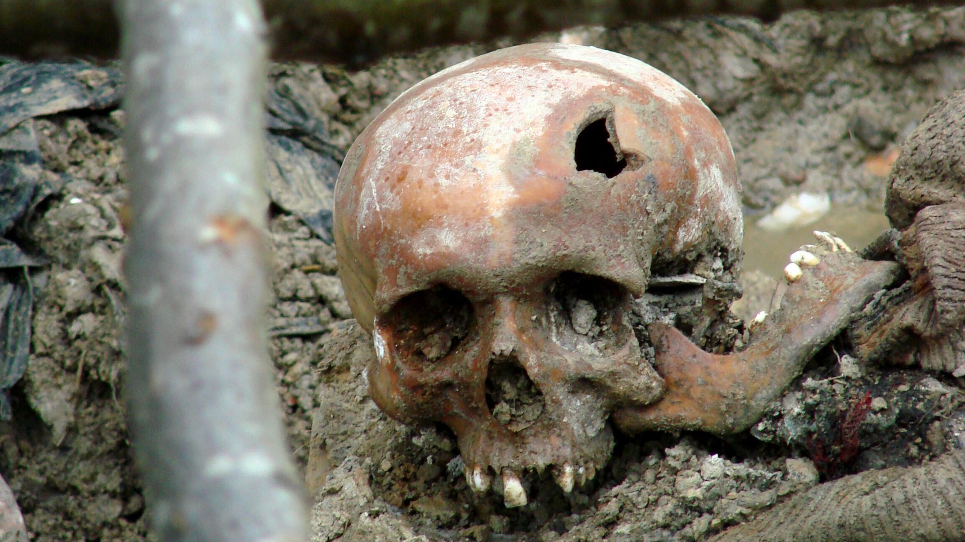 16. Le massacre de Srebrenica (1995)