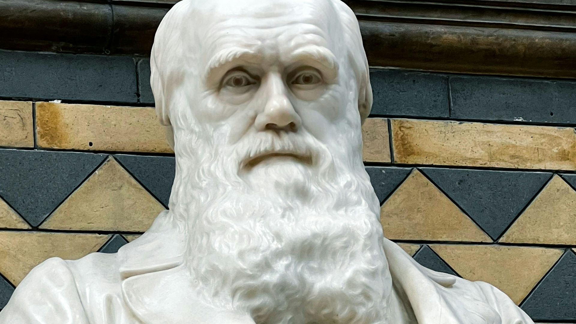 3. Les spécimens exotiques de Charles Darwin