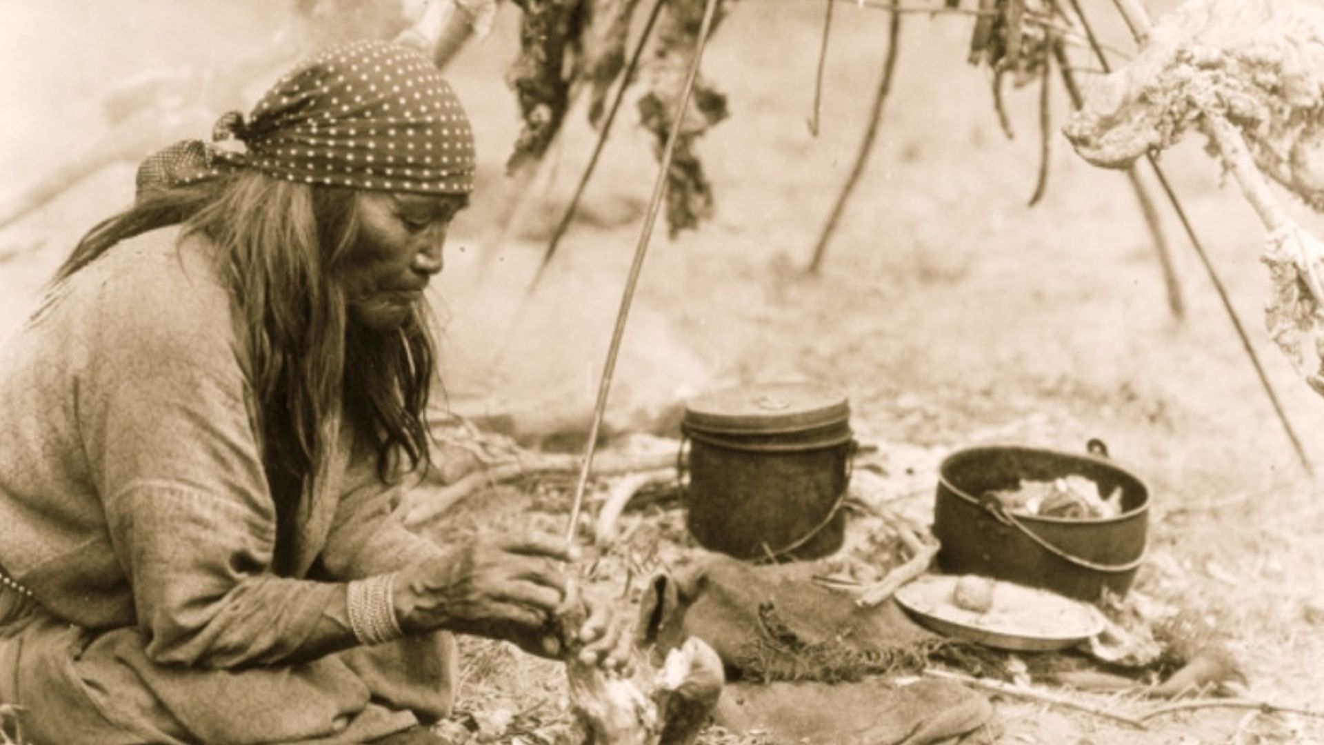 19. Mélanges de pemmican
