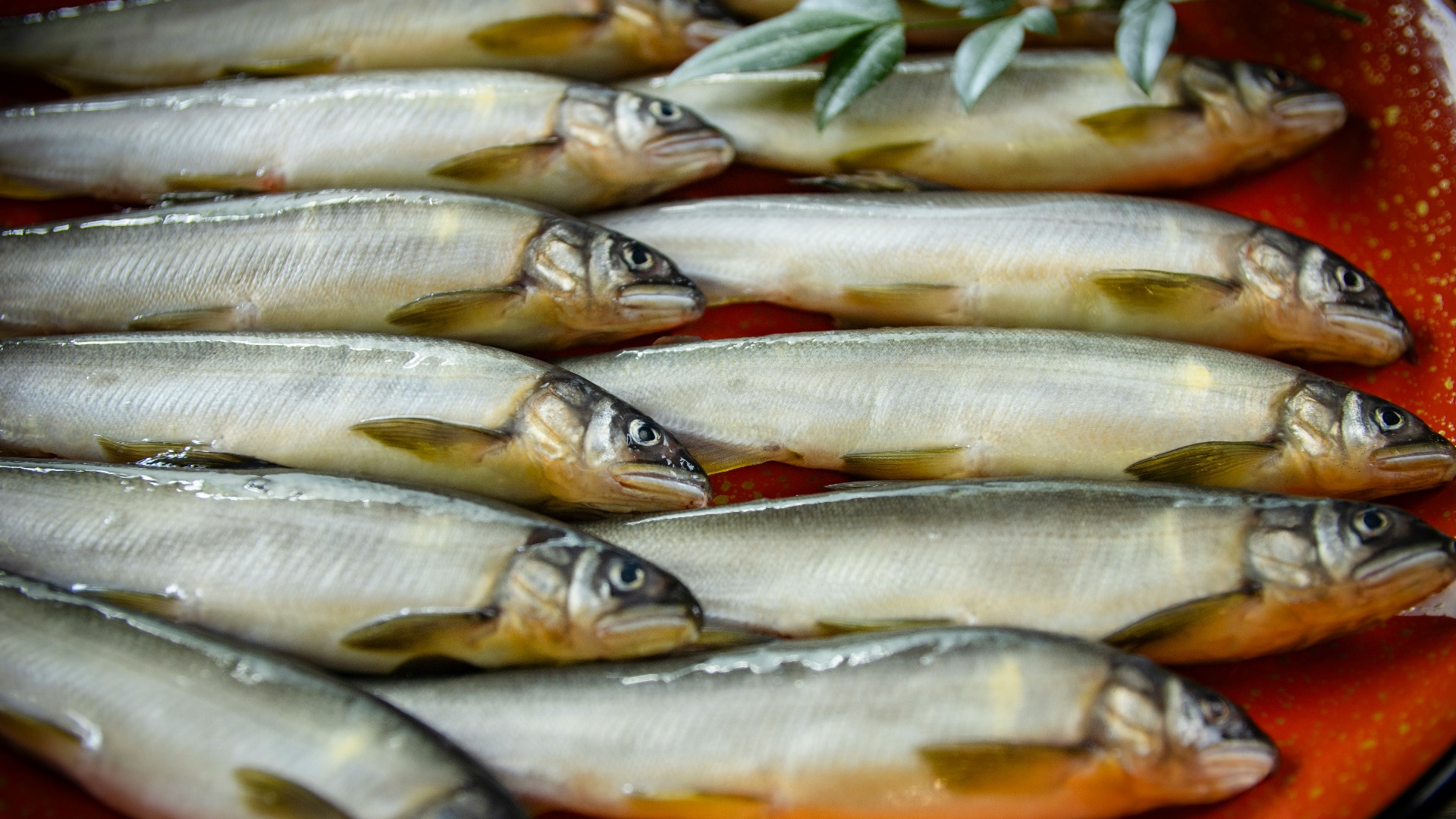 3. Poissons salés et en conserve