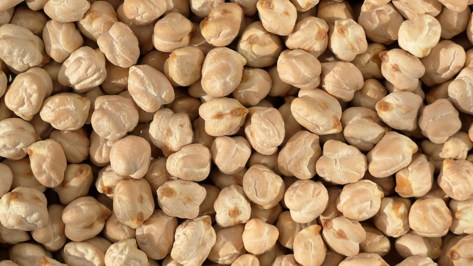 14. Pois chiches en conserve