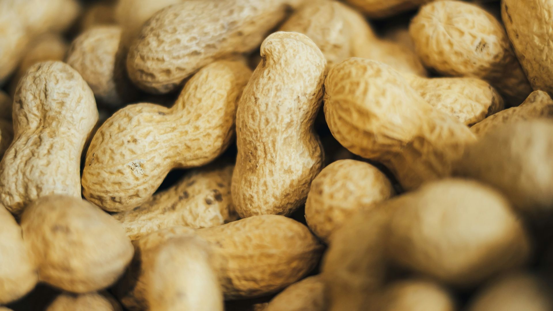 18. Les cacahuètes sont-elles des fruits à coque ?
