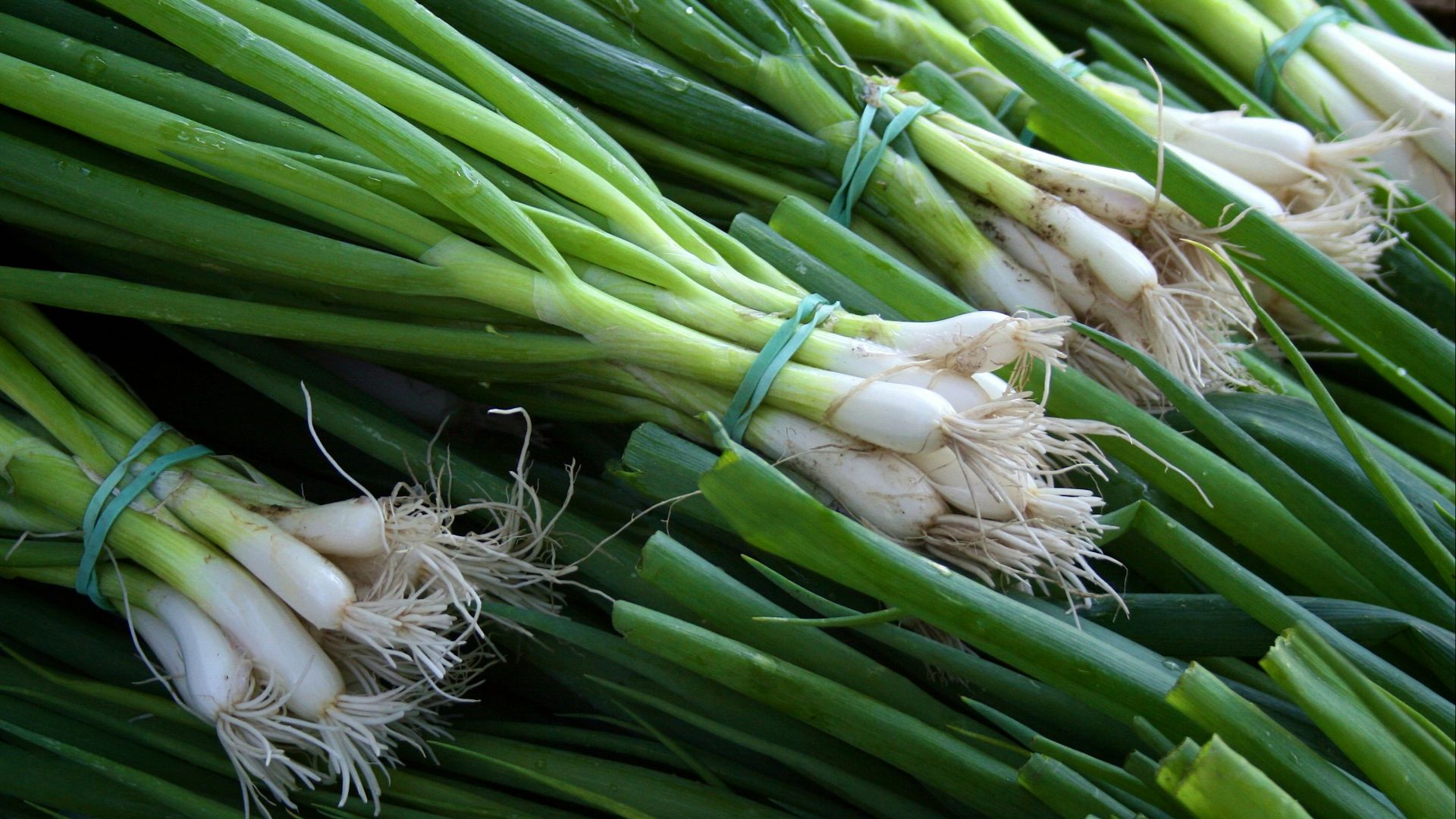 6. Garnir d'oignons verts