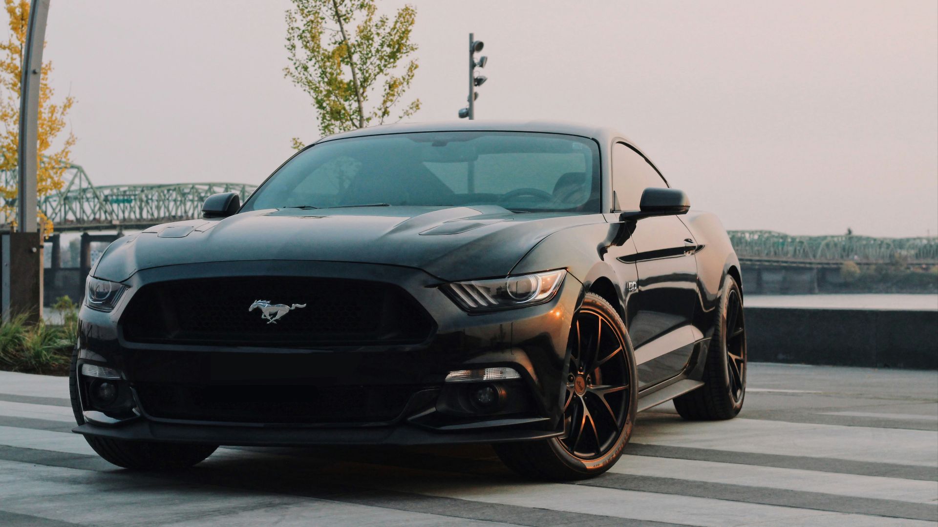 14. Ford Mustang