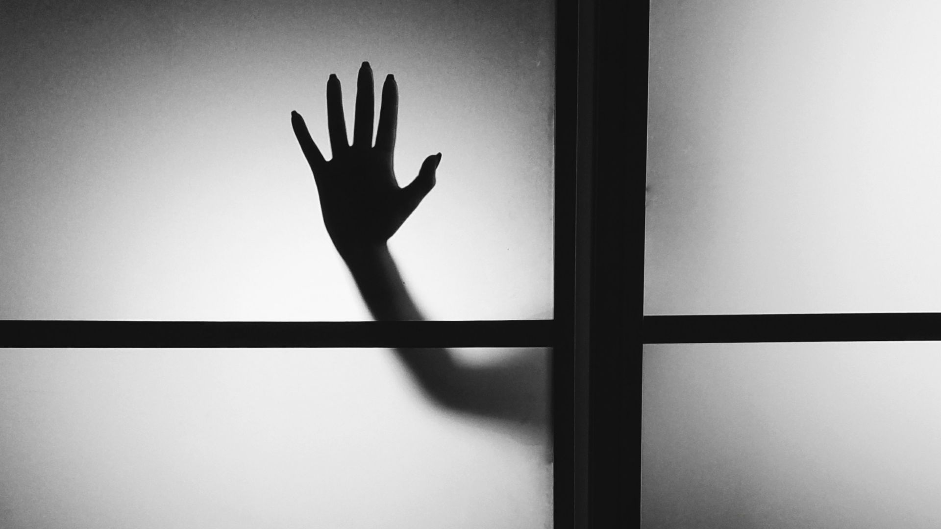 4. Ils ont fondé la NESPR en 1952