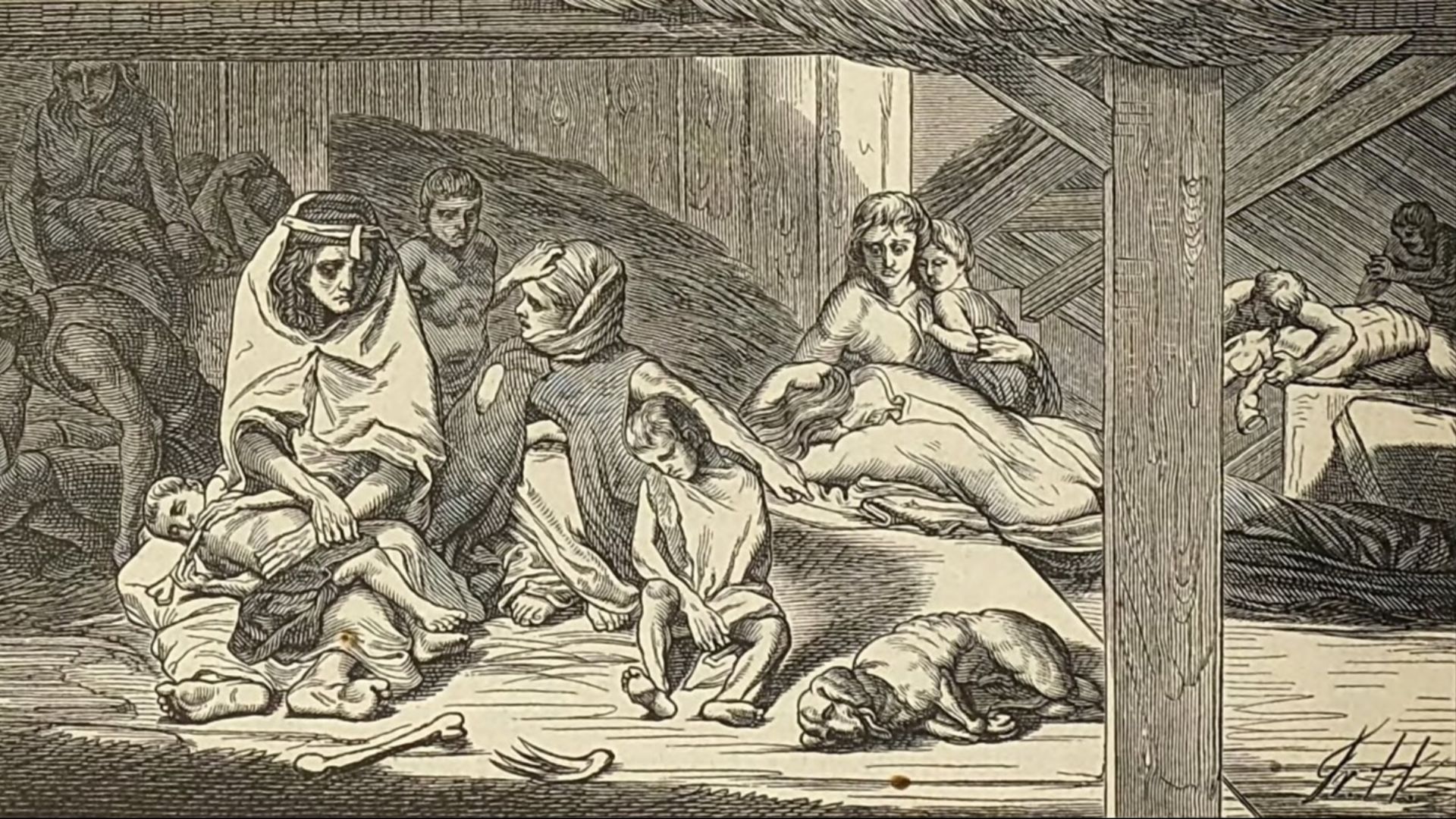 7. Le vinaigre et l'alcool pour le nettoyage