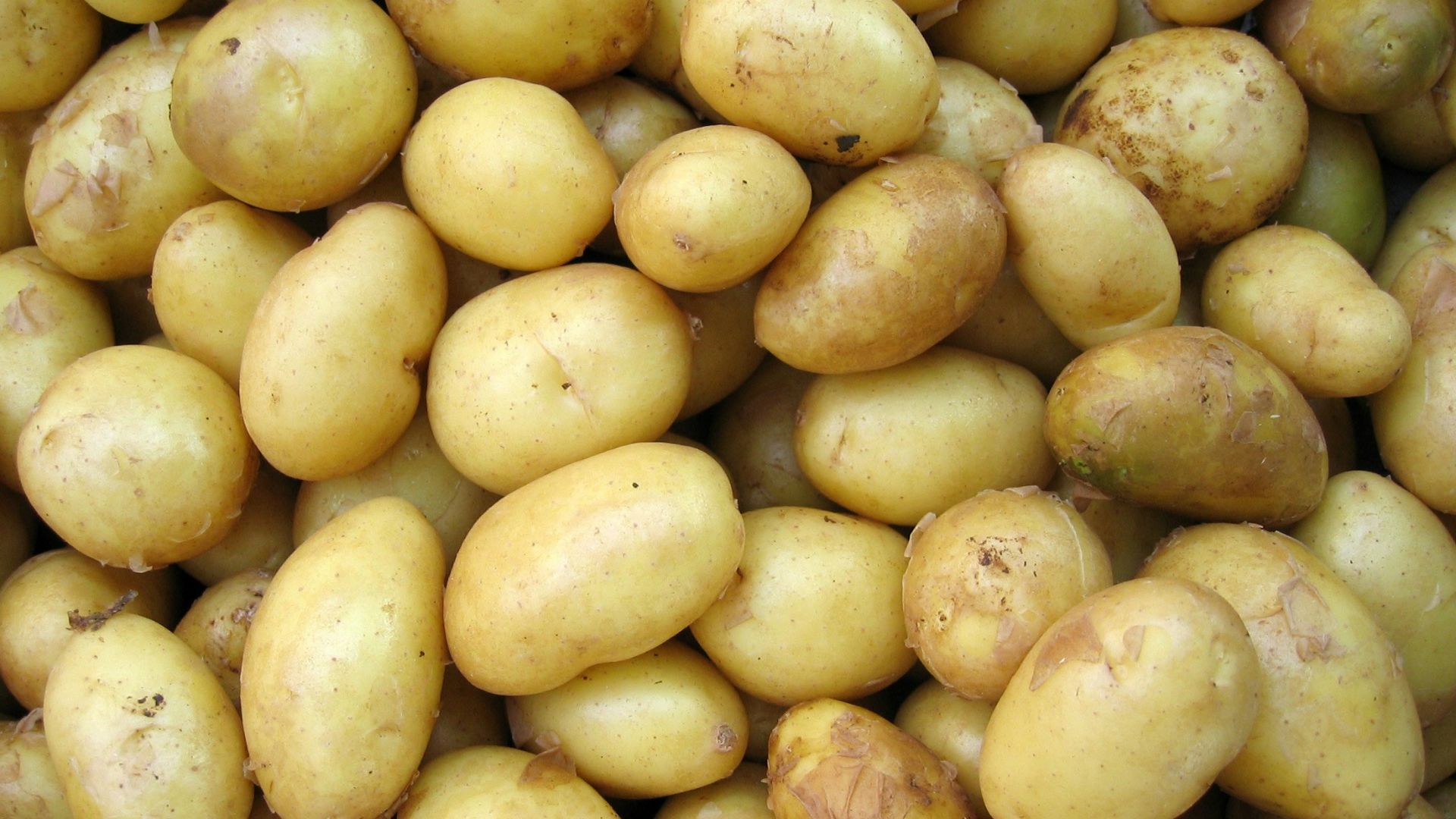 4. Pommes de terre