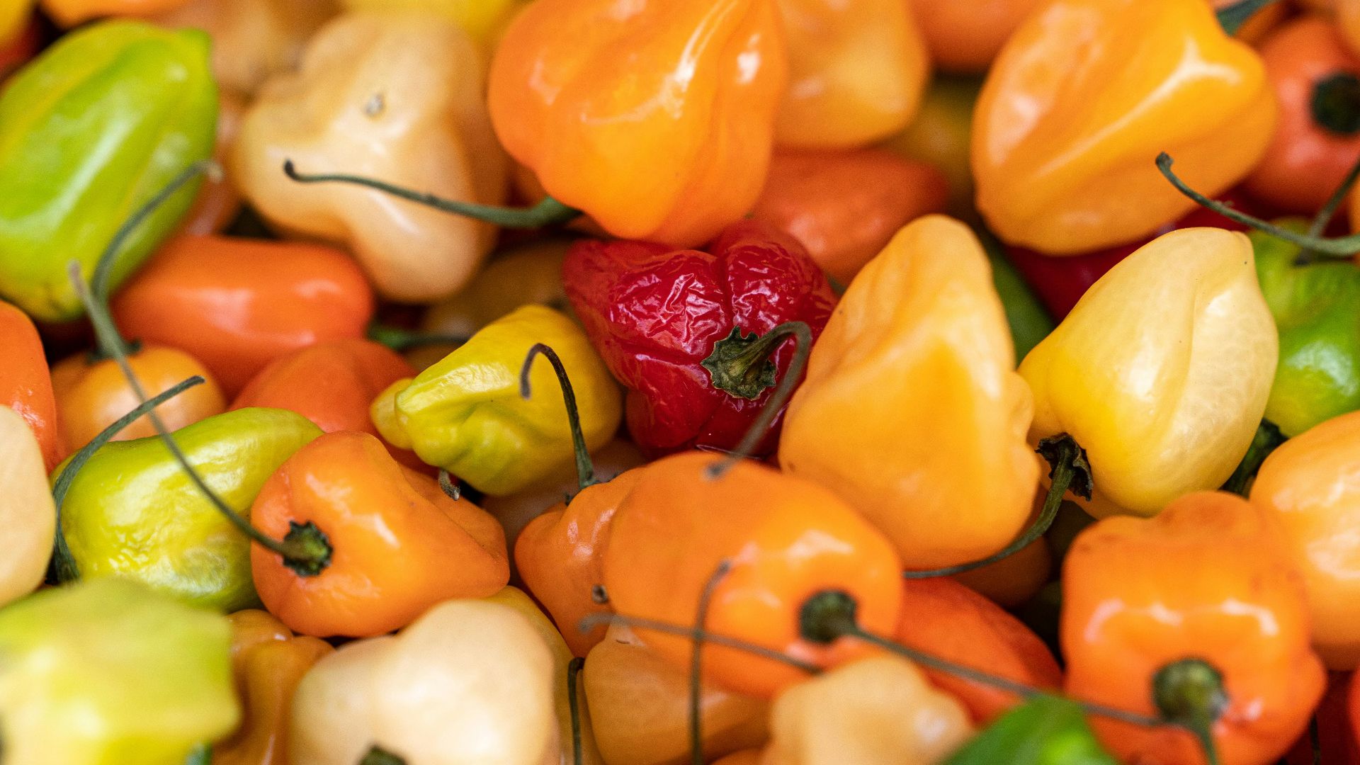8. Sauce à la mangue et au piment habanero