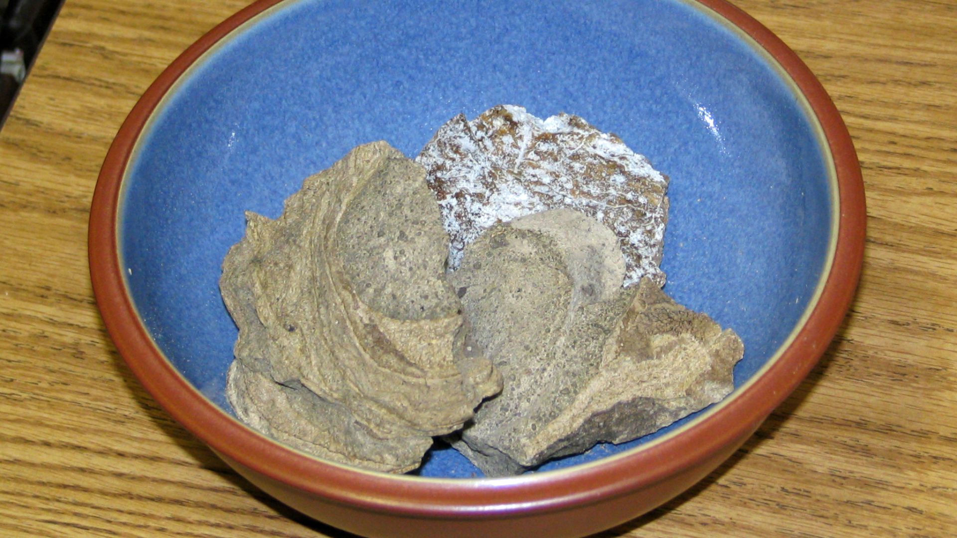 7. L'ambre gris, le mystère de la cire de baleine