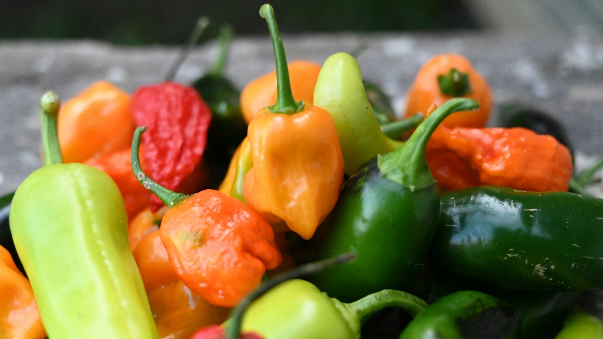 10. La puissance du Carolina Reaper