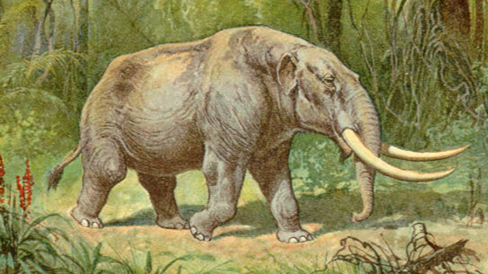 20 animaux préhistoriques qui ont cohabité avec nos ancêtres