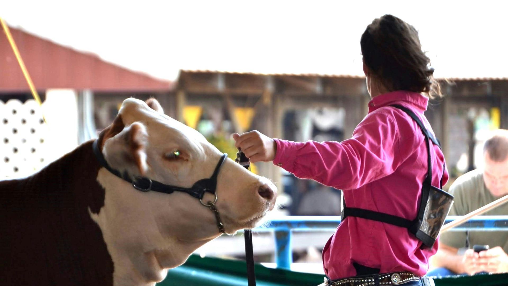 13. Ventes aux enchères agricoles