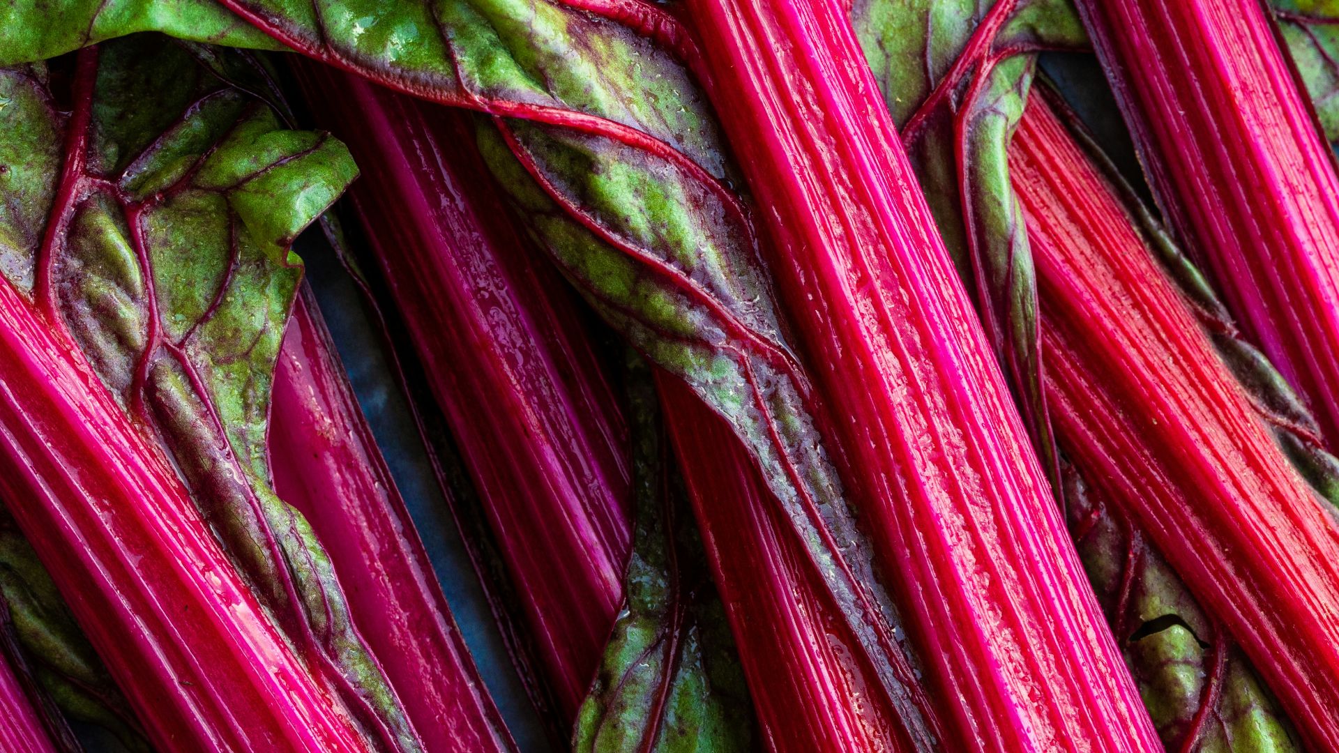 19. Rhubarbe pochée à la crème