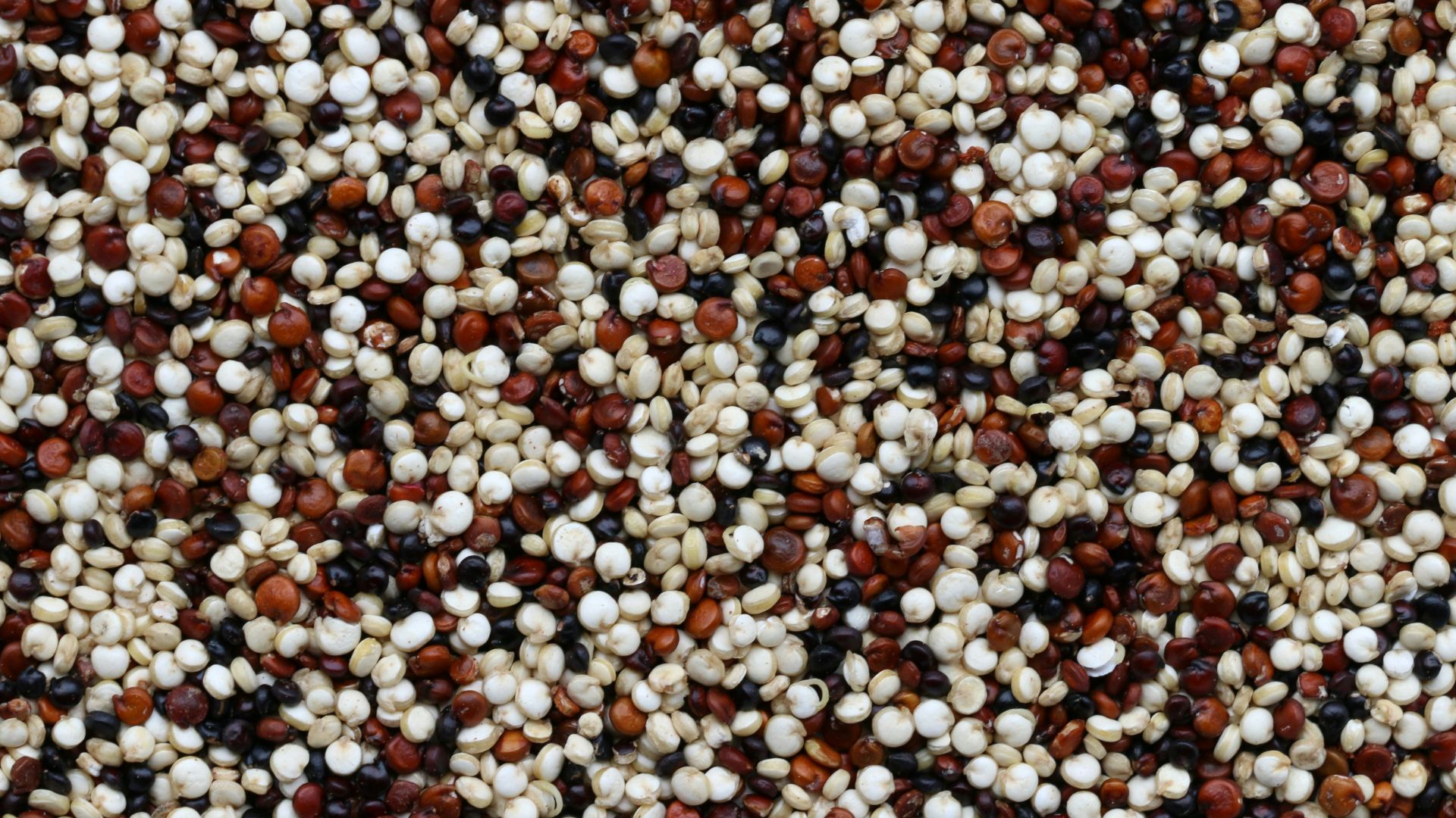 8. Quinoa