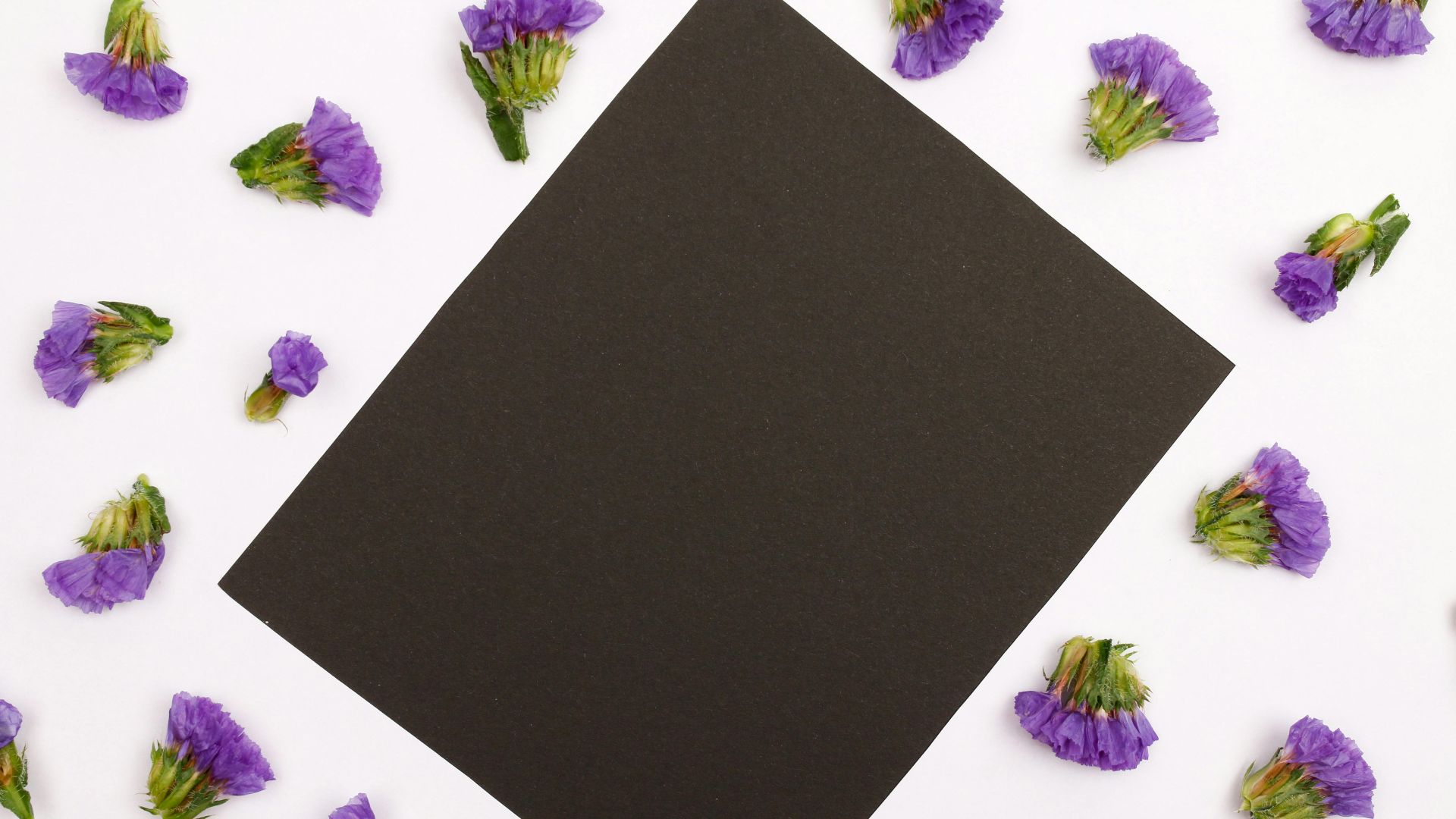 11. Des lettres bordées de noir annonçaient votre deuil