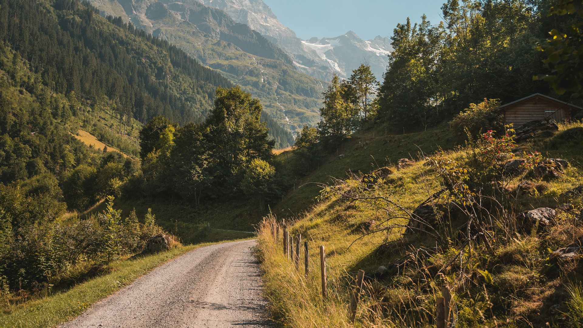 6. Suisse