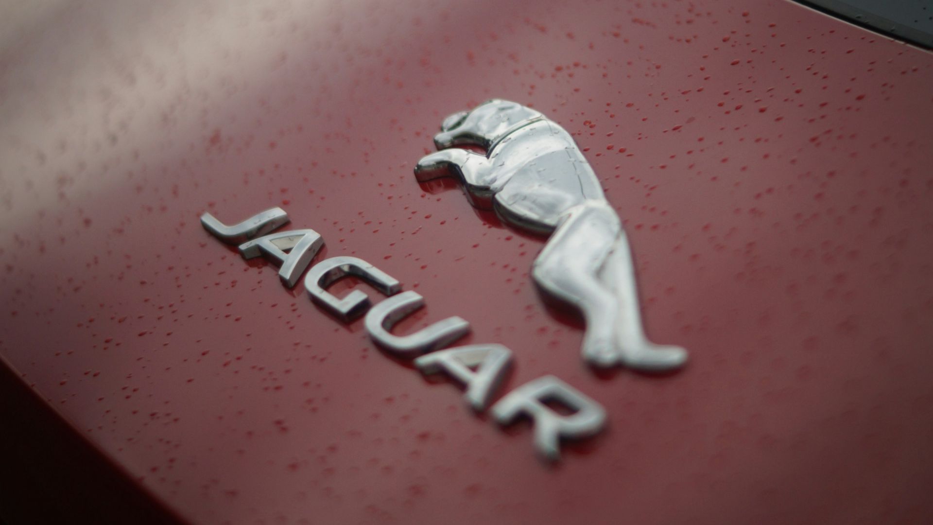 8. Jaguar F-Type (modèles V6)