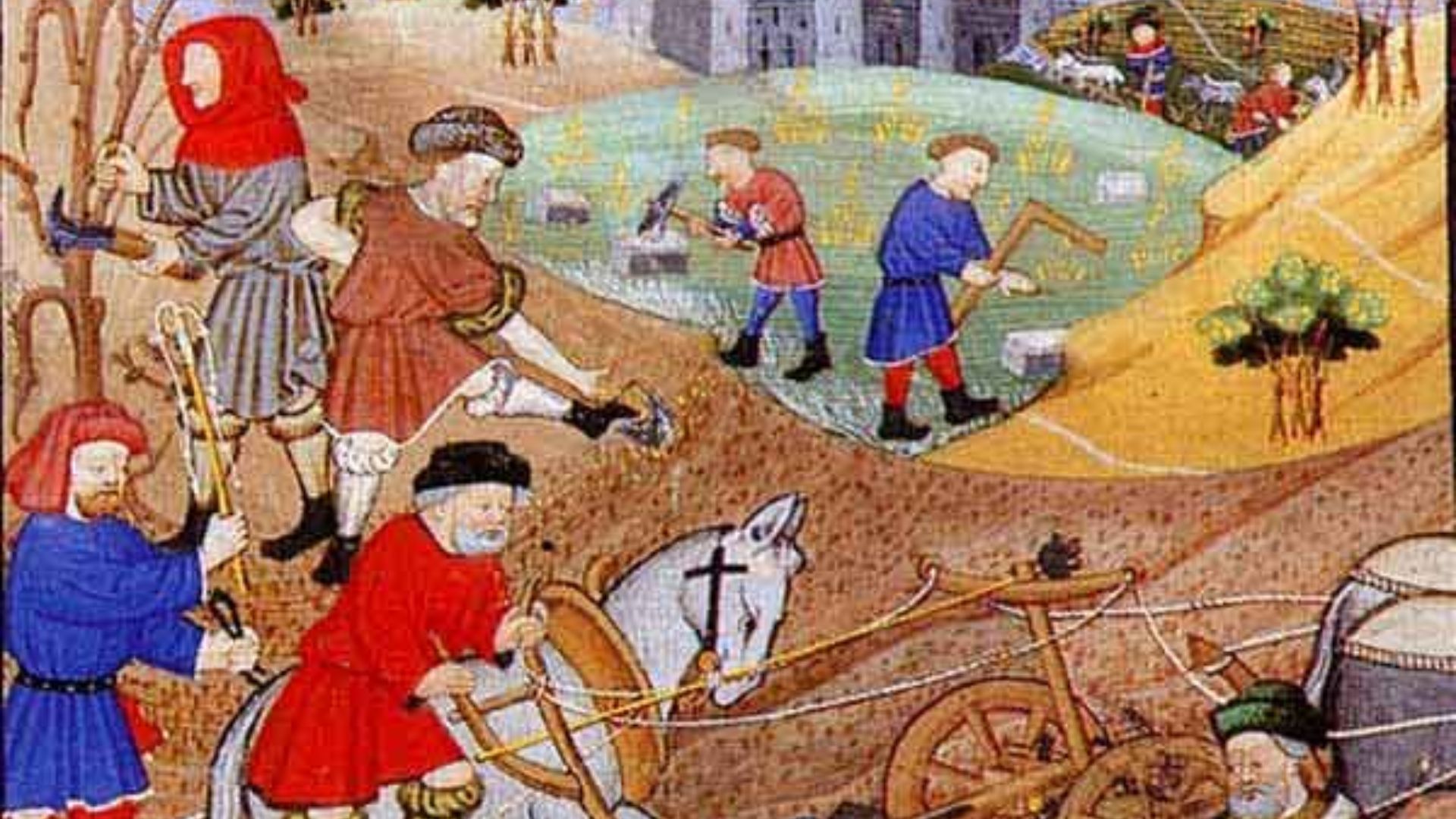 15. Le rationnement et les formalités administratives liées à l'alimentation