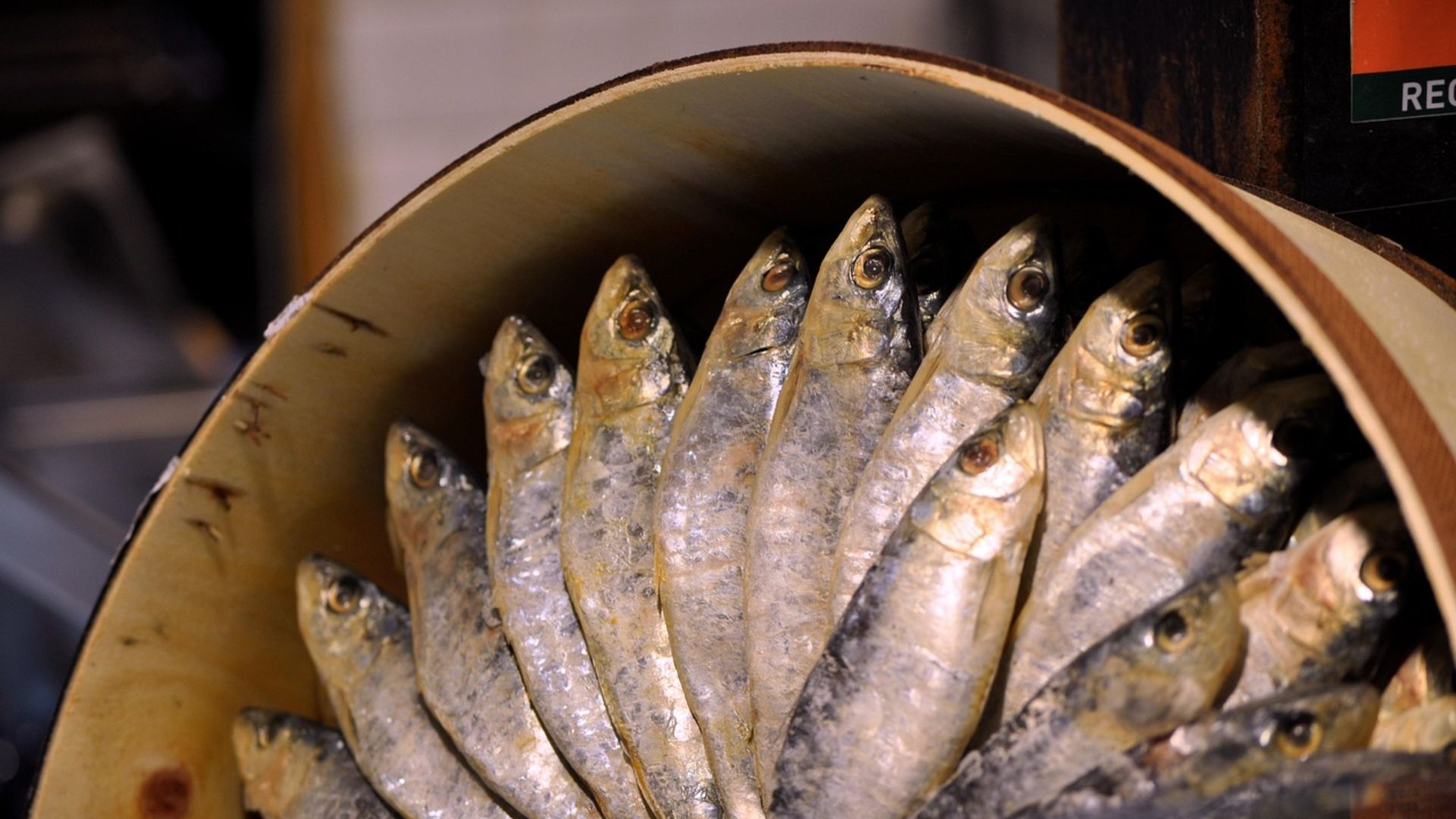 6. Sardines en conserve