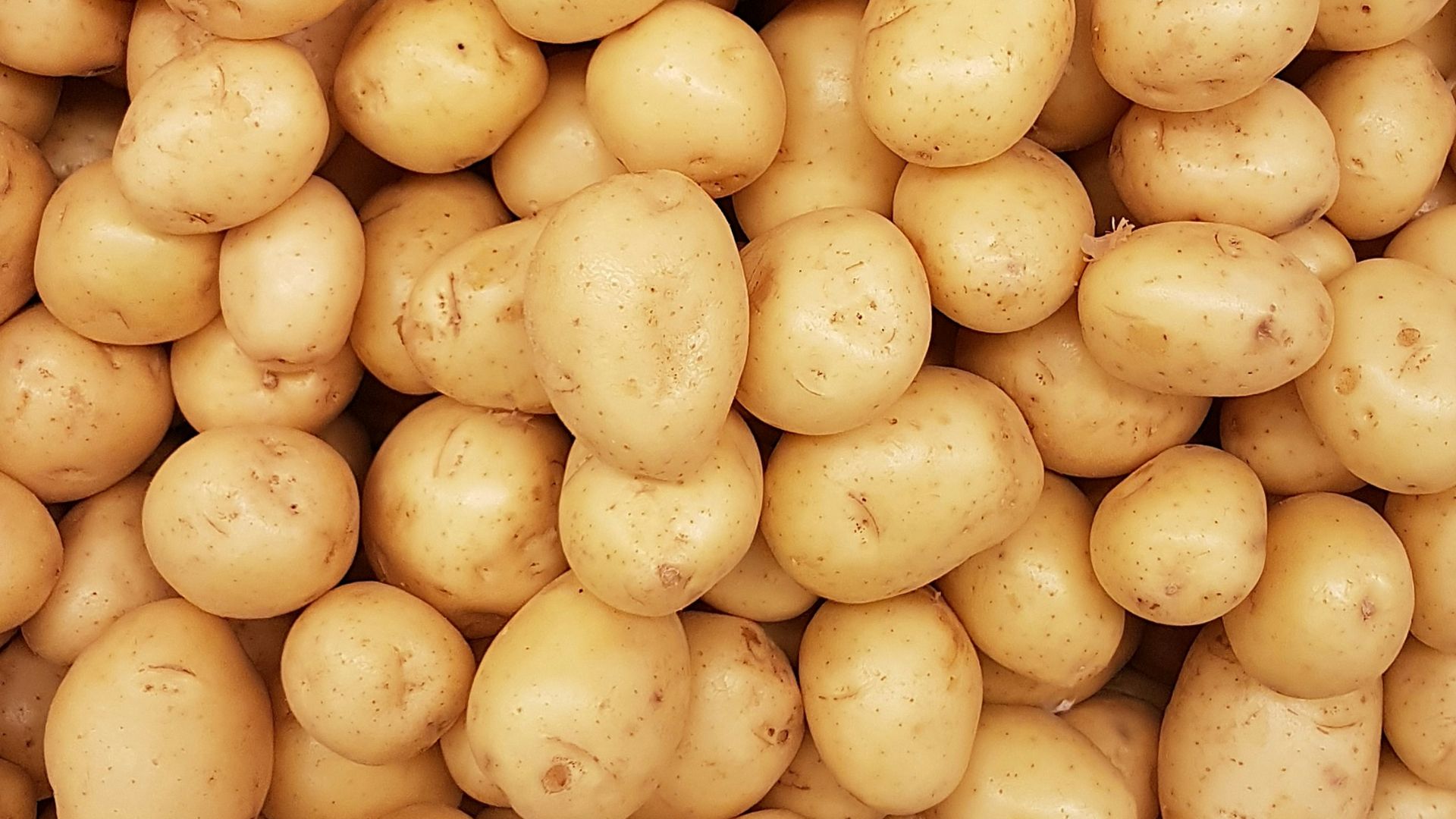 19. Tranches de pommes de terre