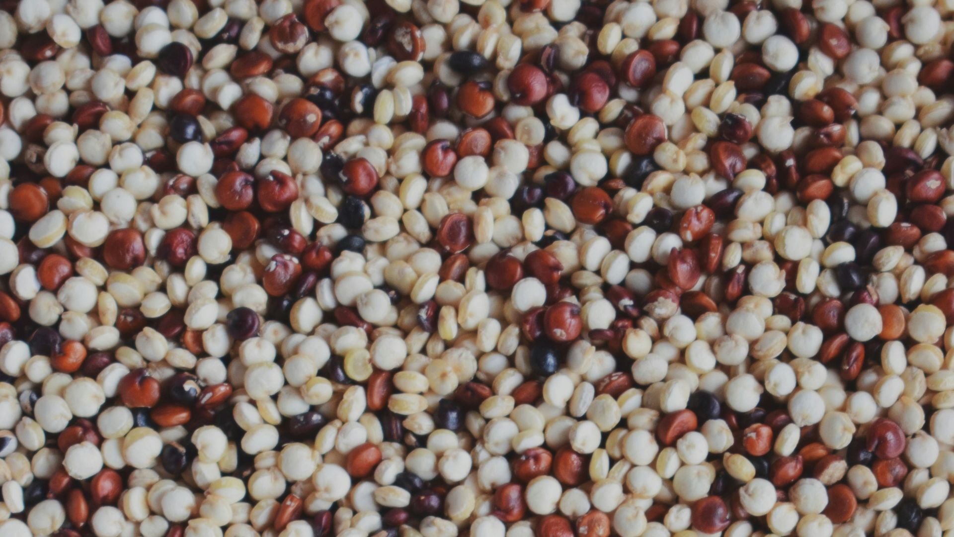13. Quinoa