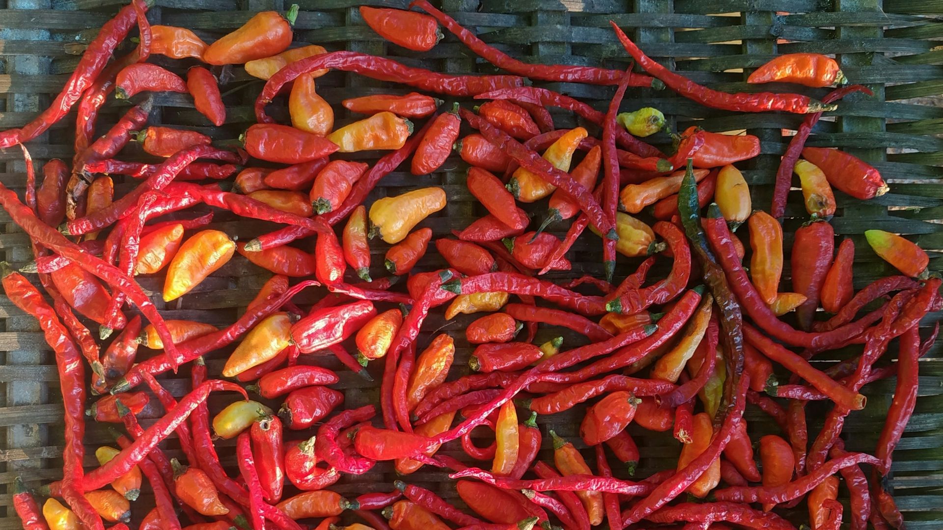 15. Piments thaïlandais
