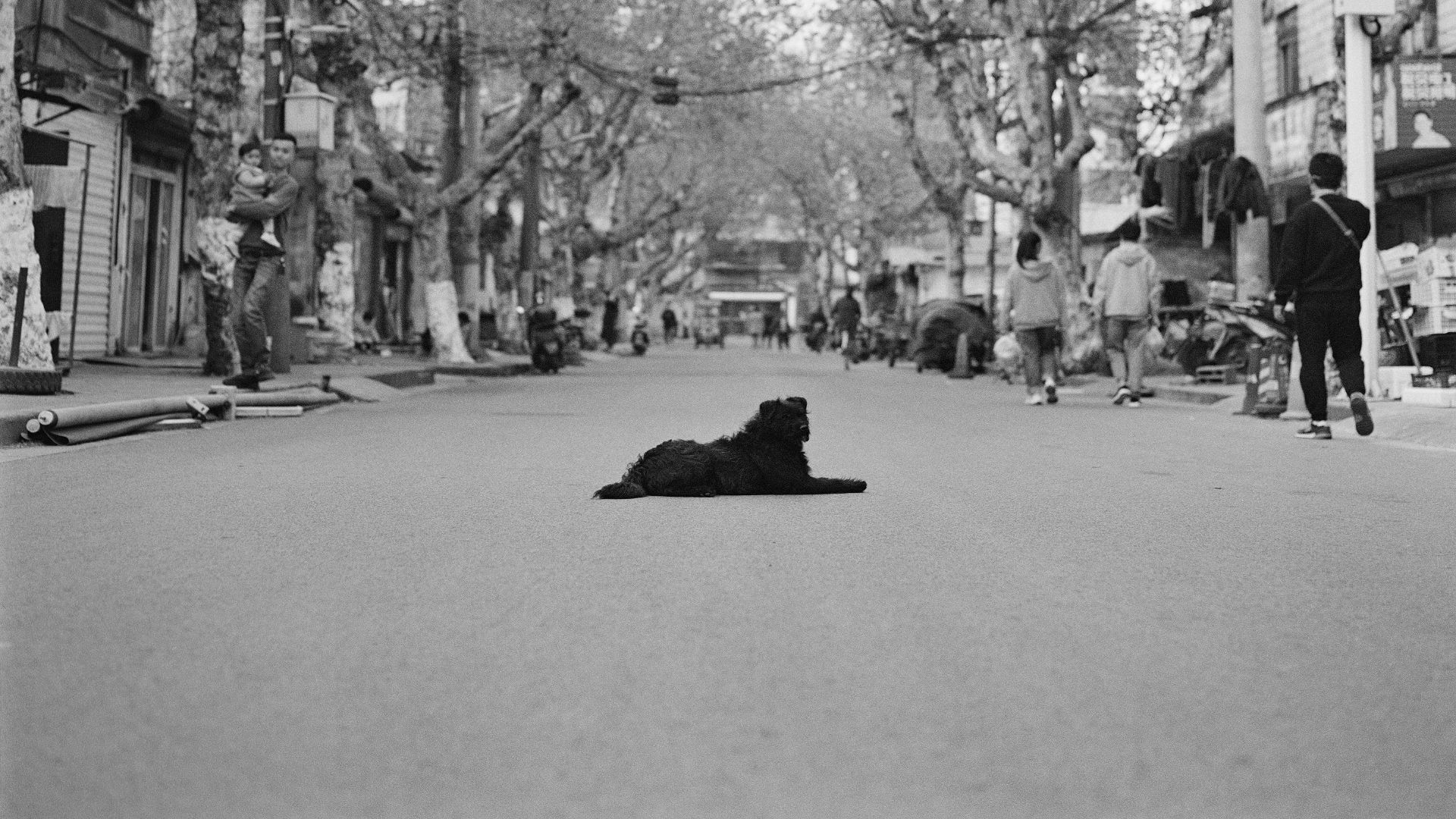 13. La révolution iranienne (1979)