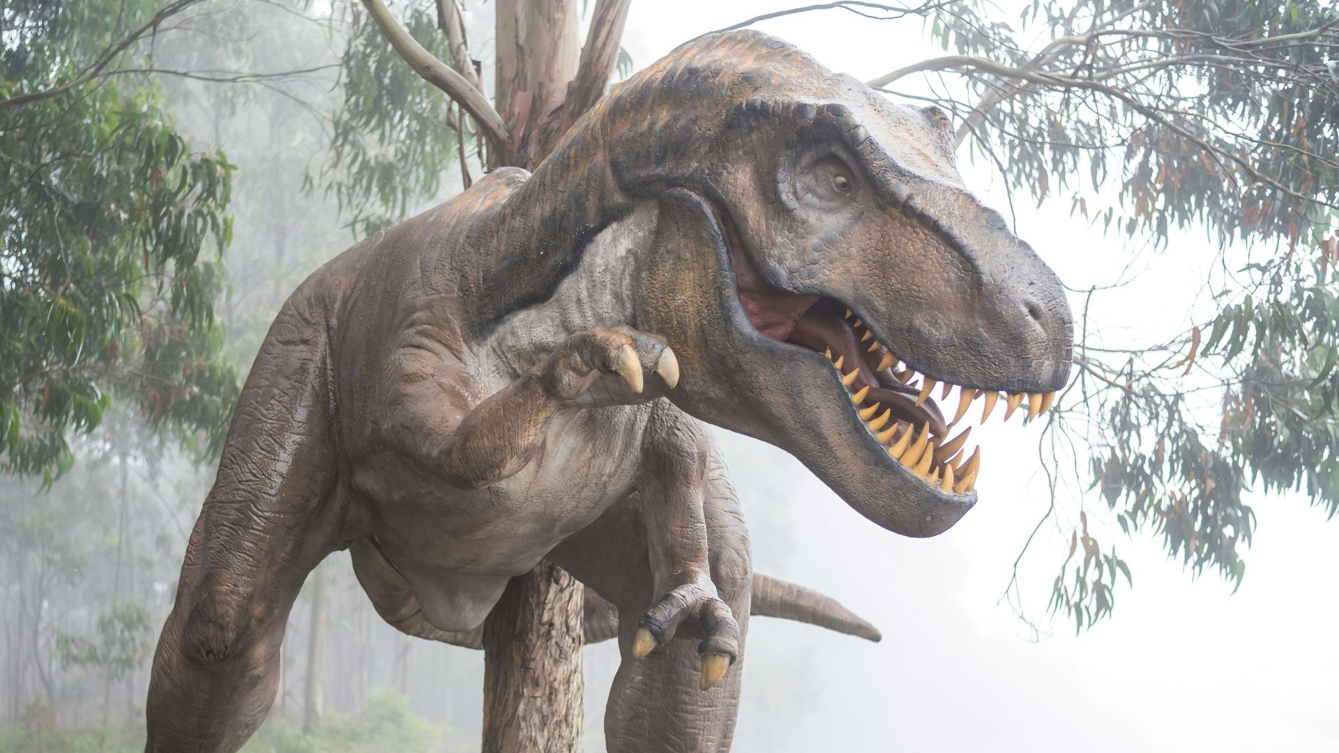 19. Les dinosaures qui émettent des sons