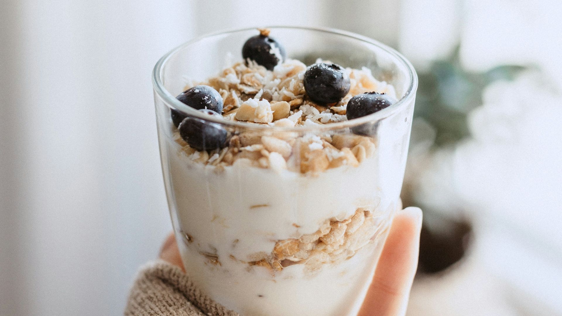 11. Les aliments fermentés pour le moral