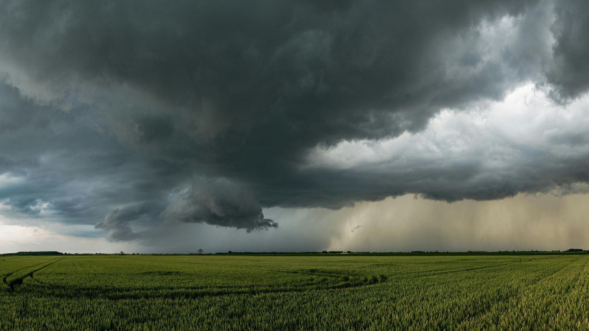 8. La rubrique météo