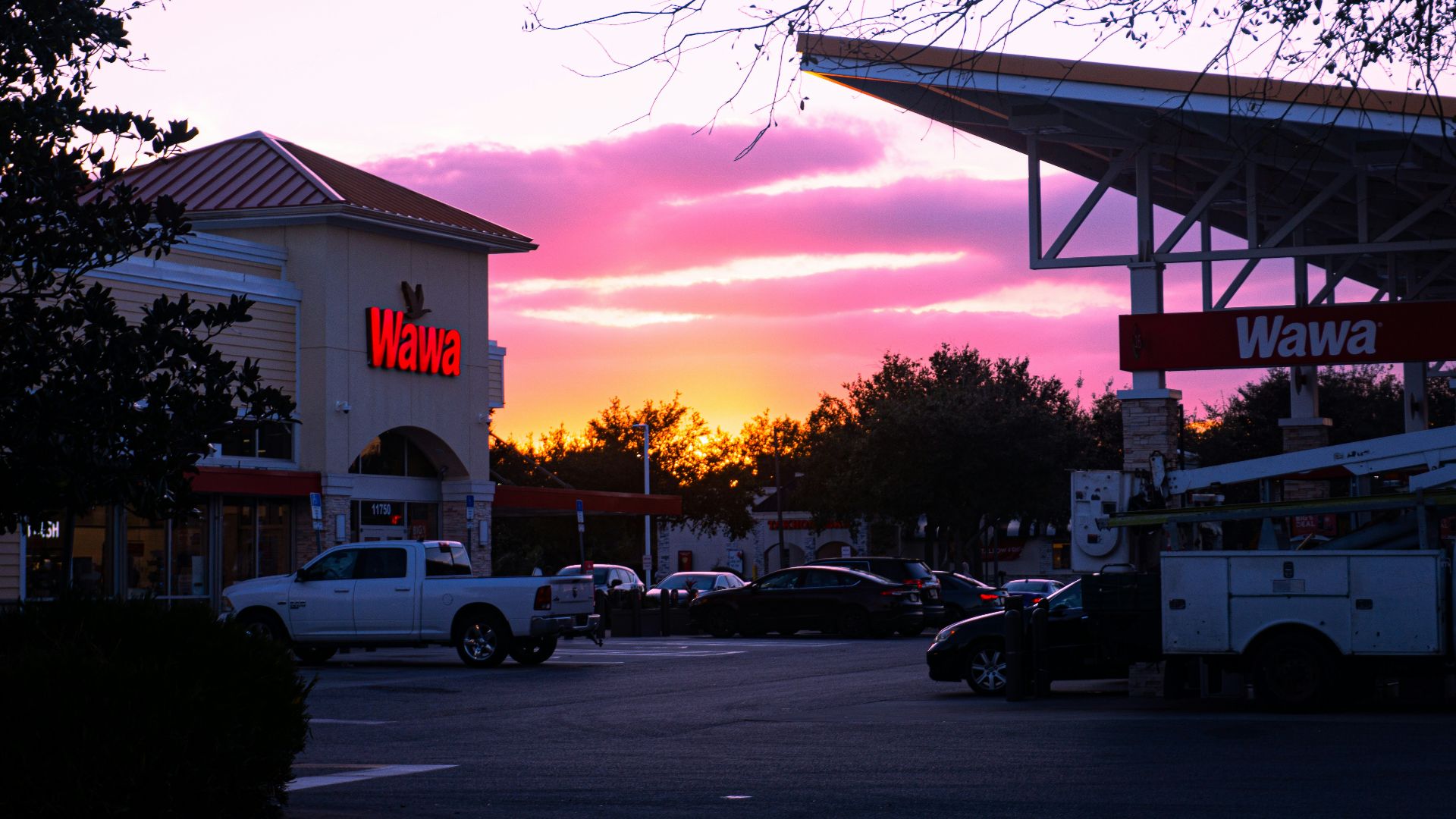 4. Les sandwichs de Wawa