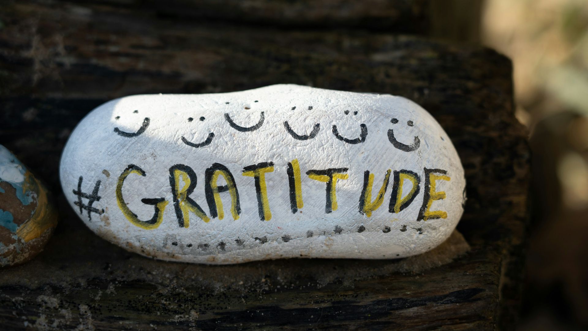 18. N'attendez pas que la vie soit plus facile pour exprimer votre gratitude