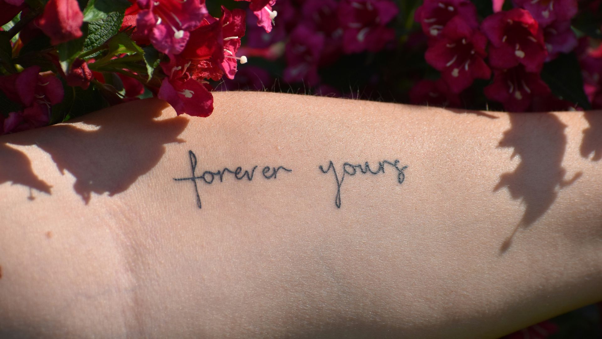 5. L'écriture de l'autre