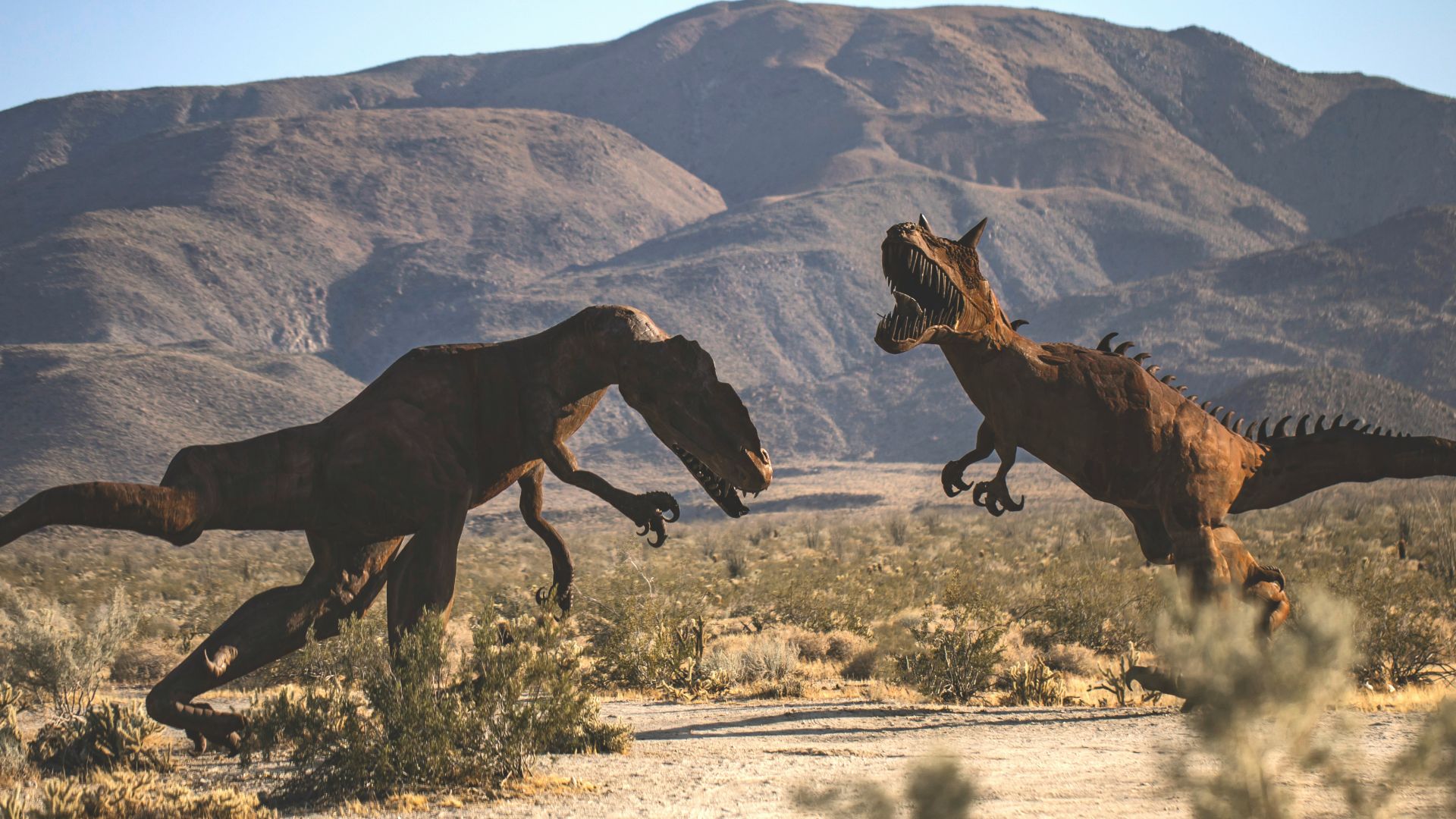 18. Les pellicules de dinosaure