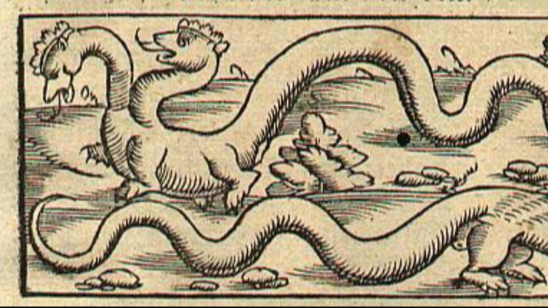 1. Les dragons indiens de Pline