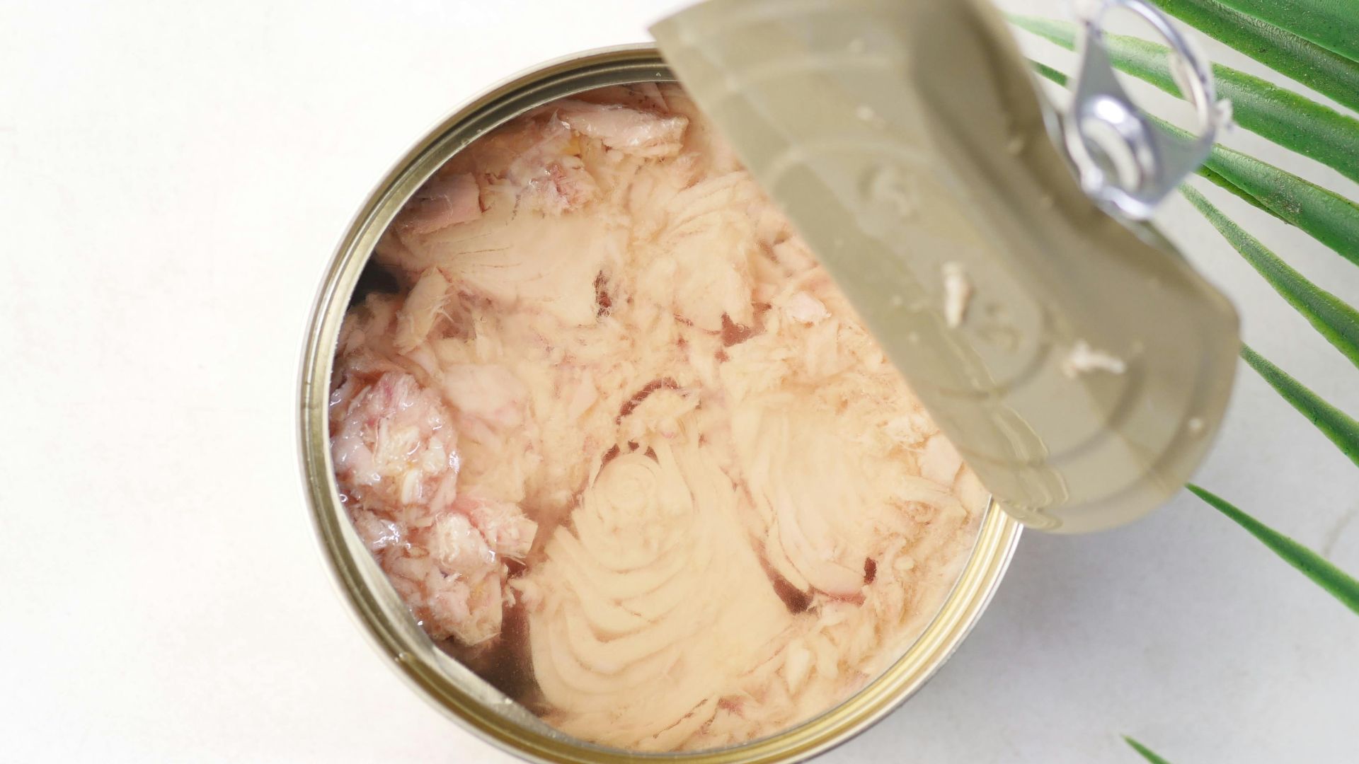 2. Saumon en conserve avec arêtes