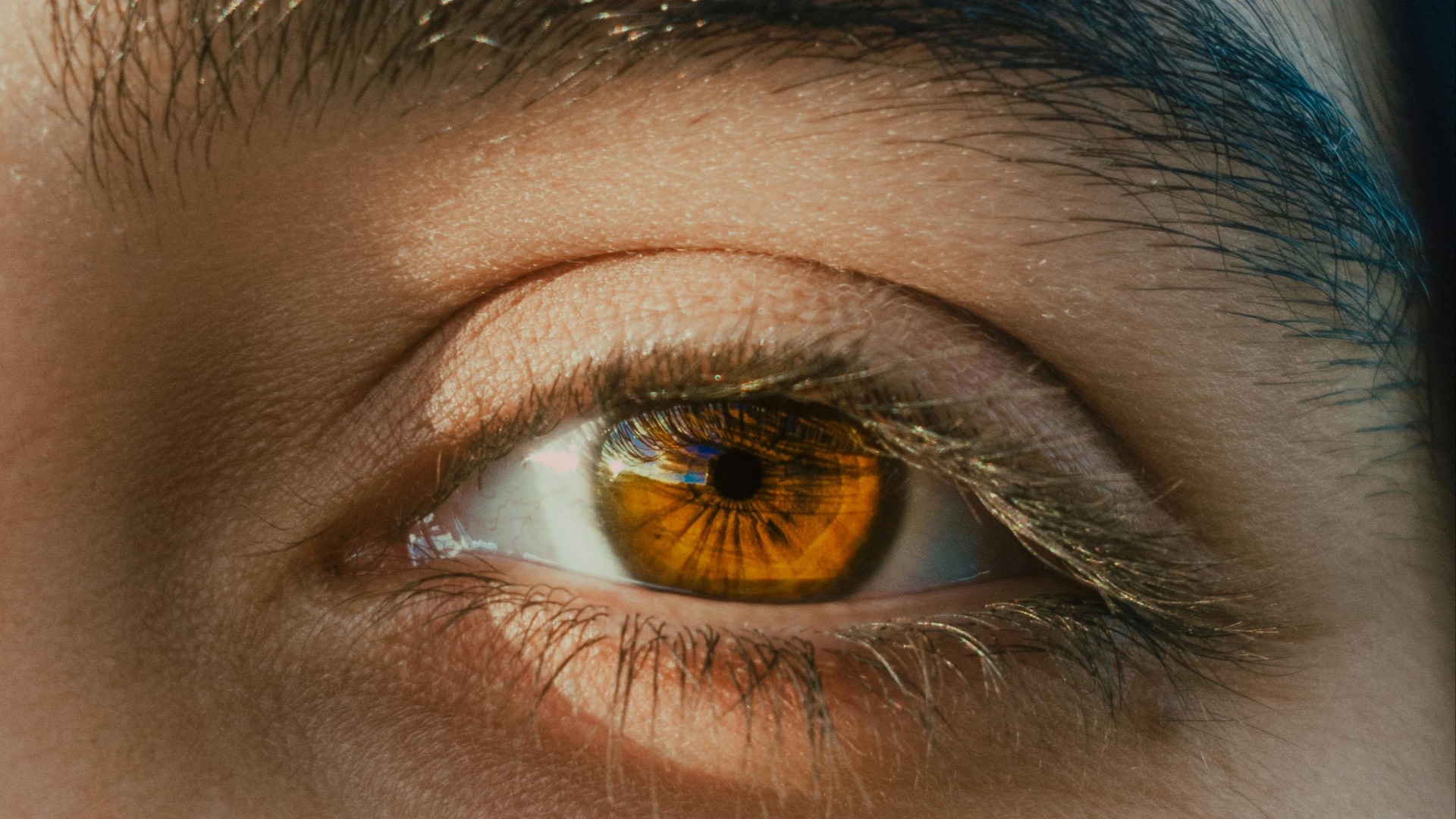 5. Cheveux châtain + yeux ambrés